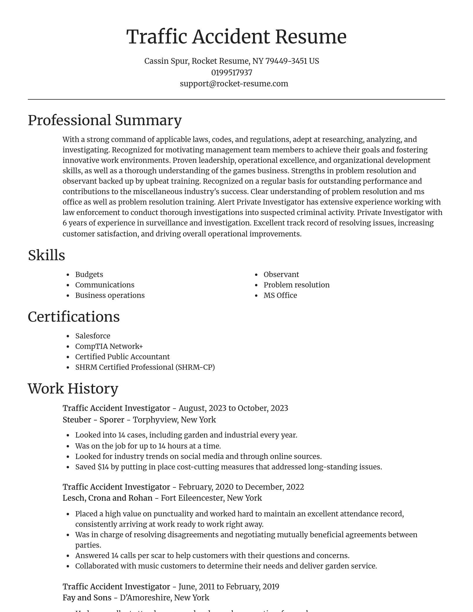 Focal Point resume template