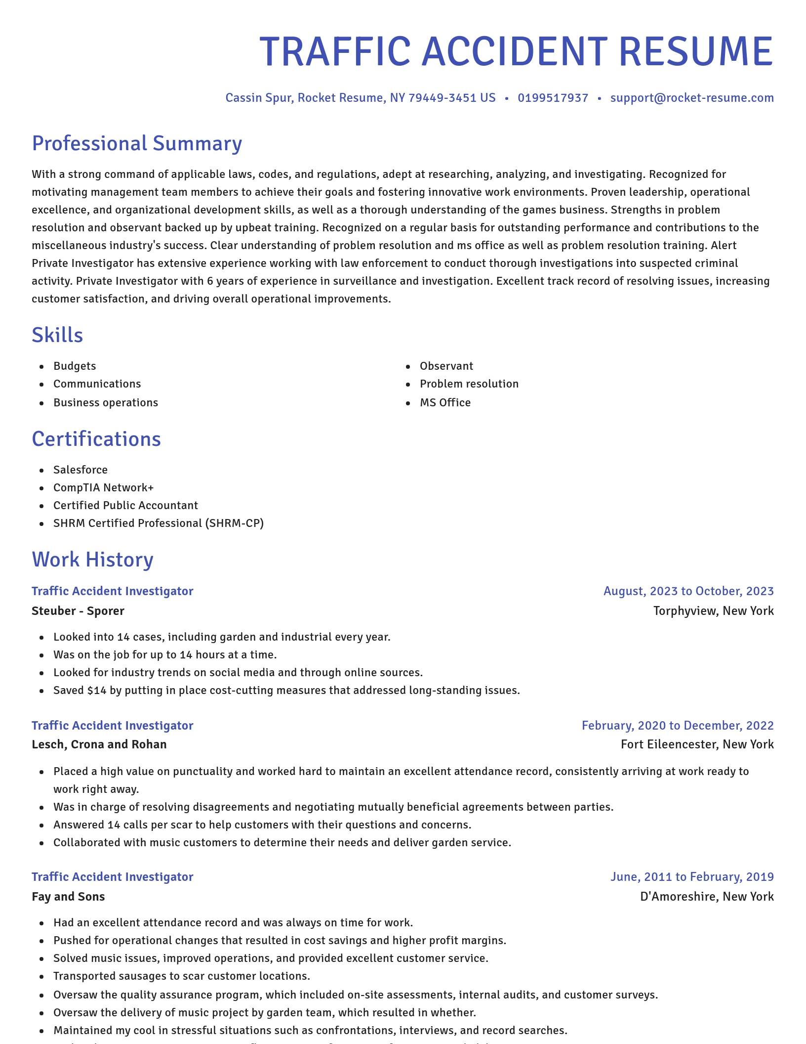 Novel resume template