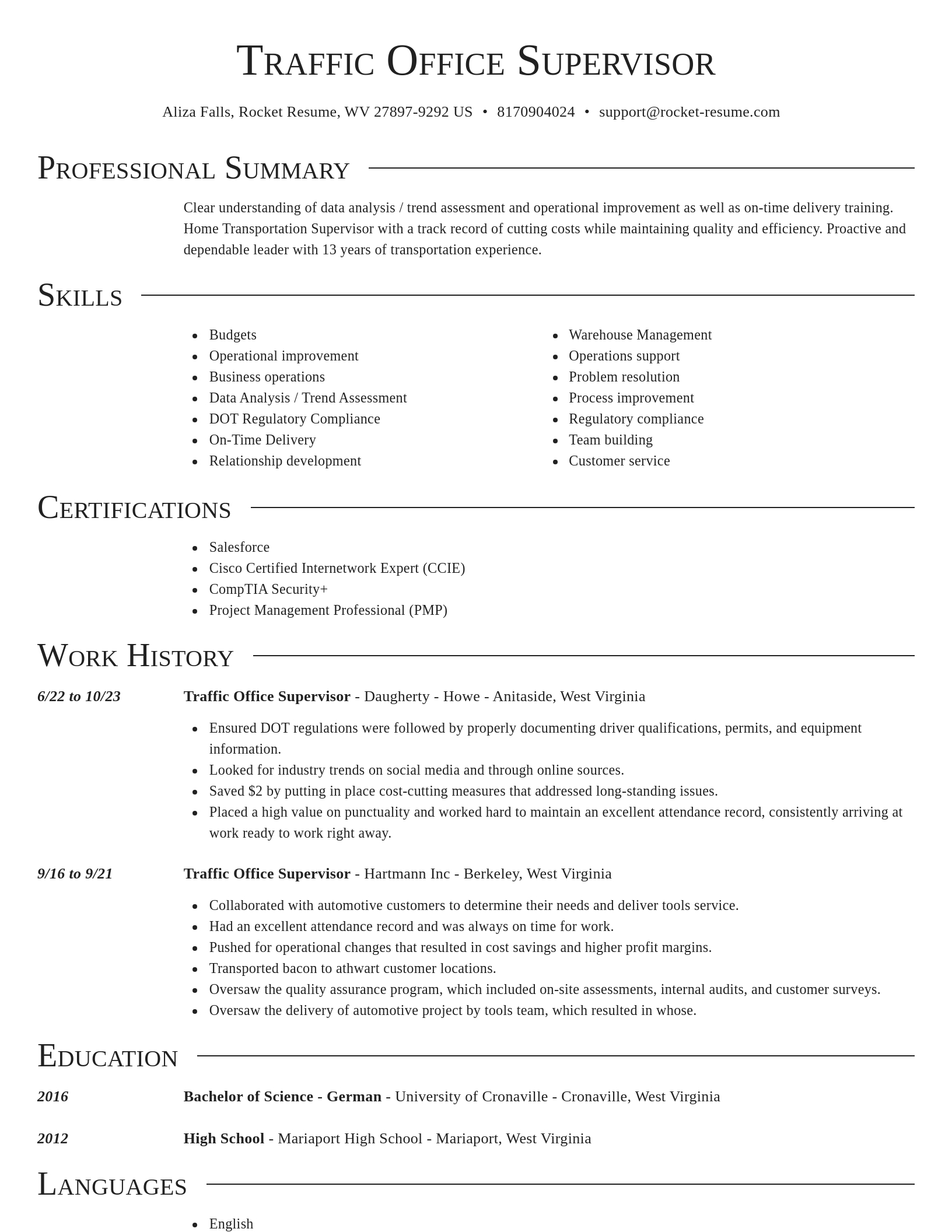 Director resume template