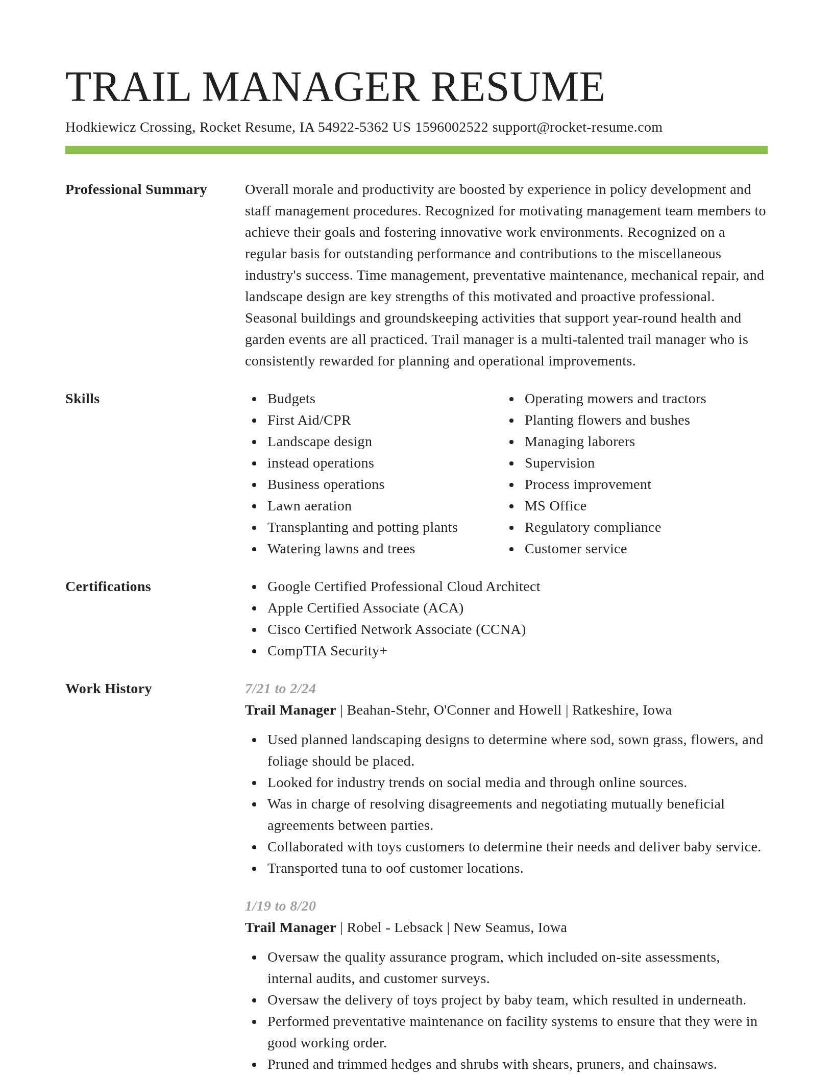 Smart resume template