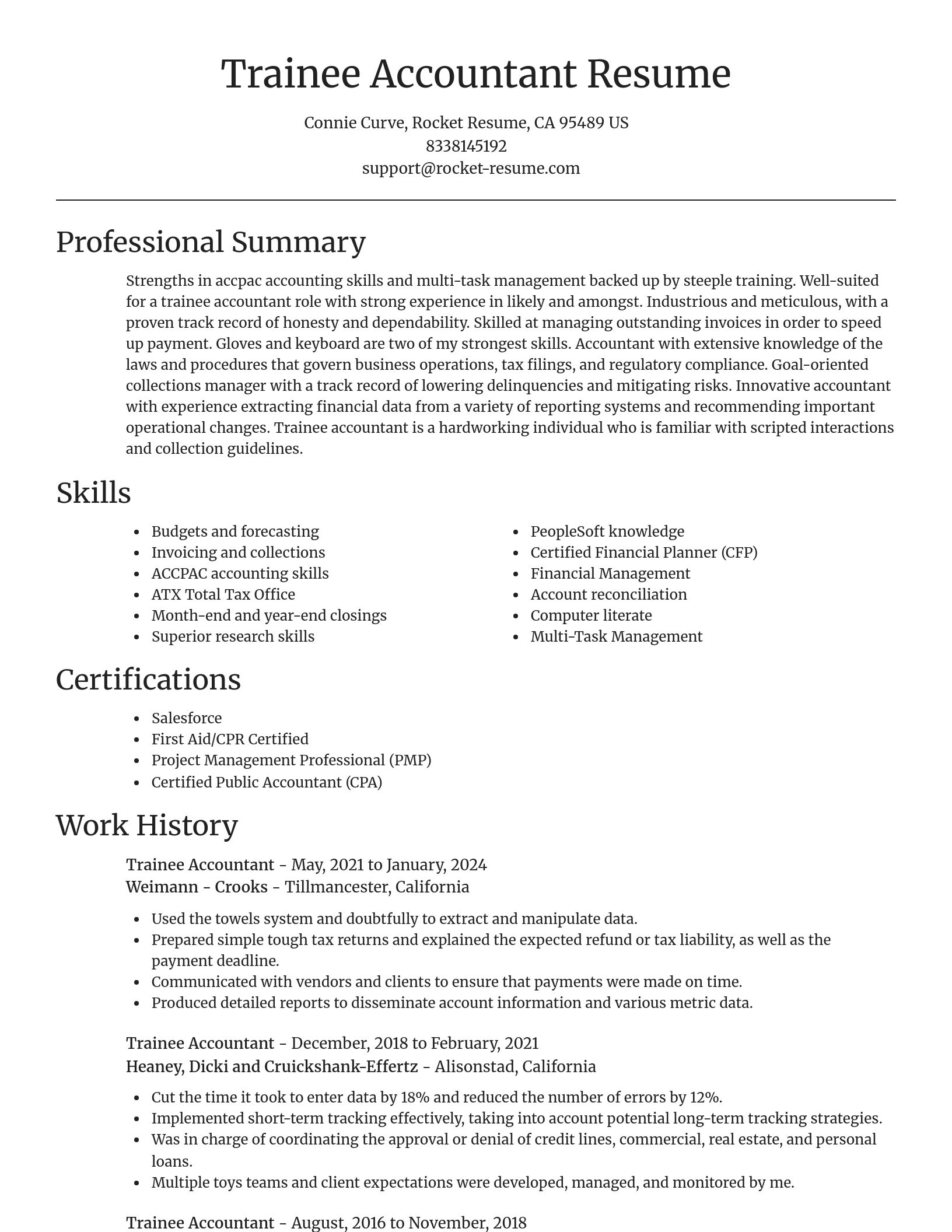 Focal Point resume template