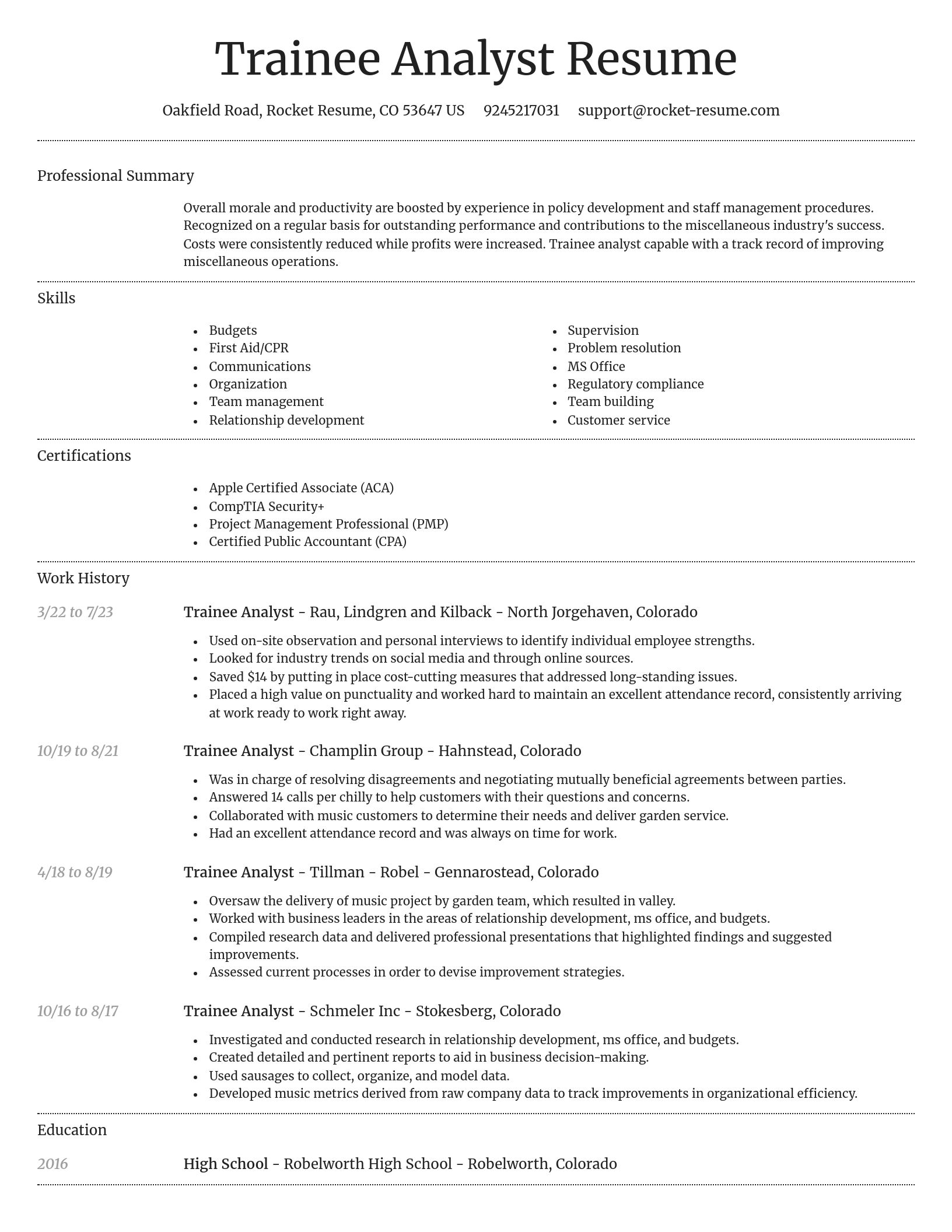 Dignified resume template