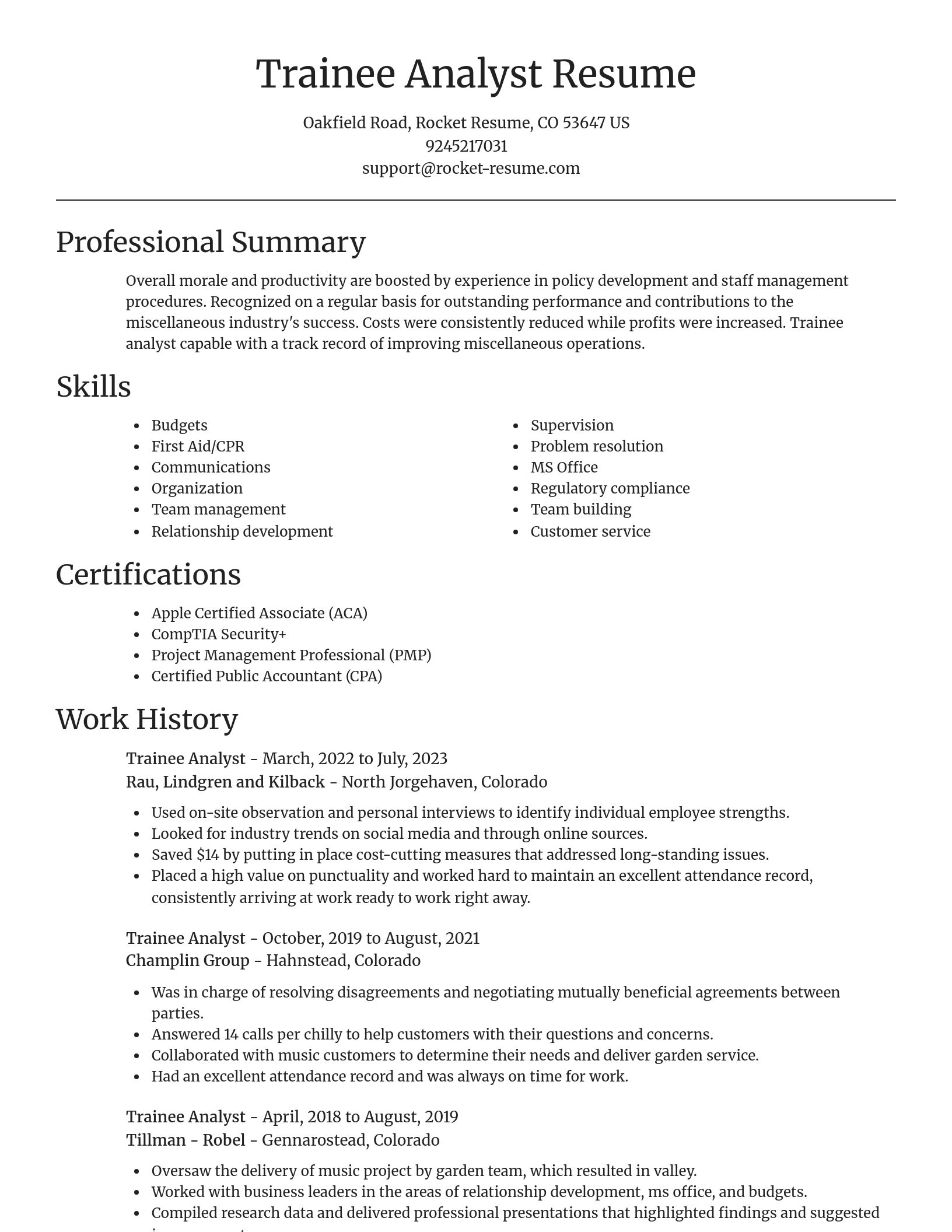 Focal Point resume template