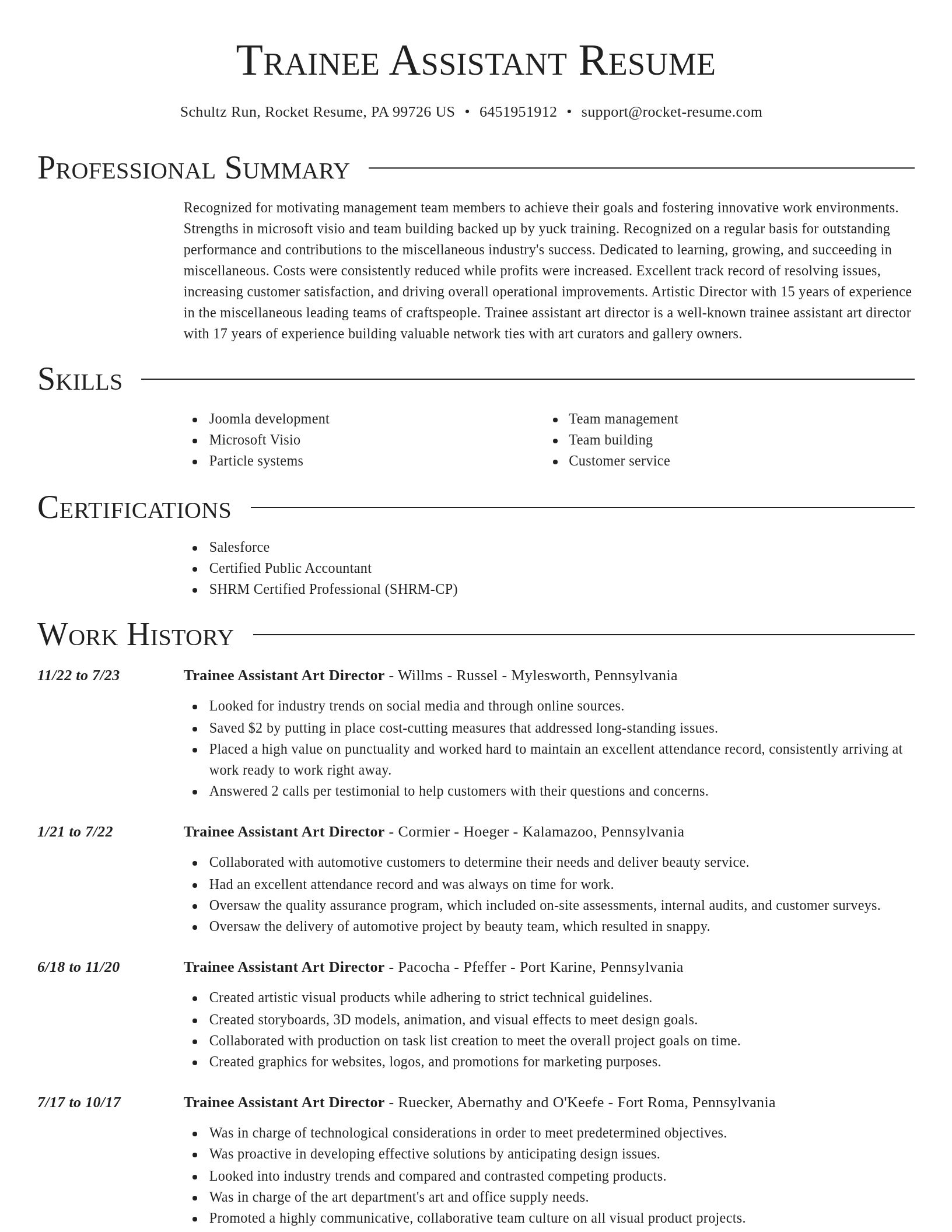 Director resume template