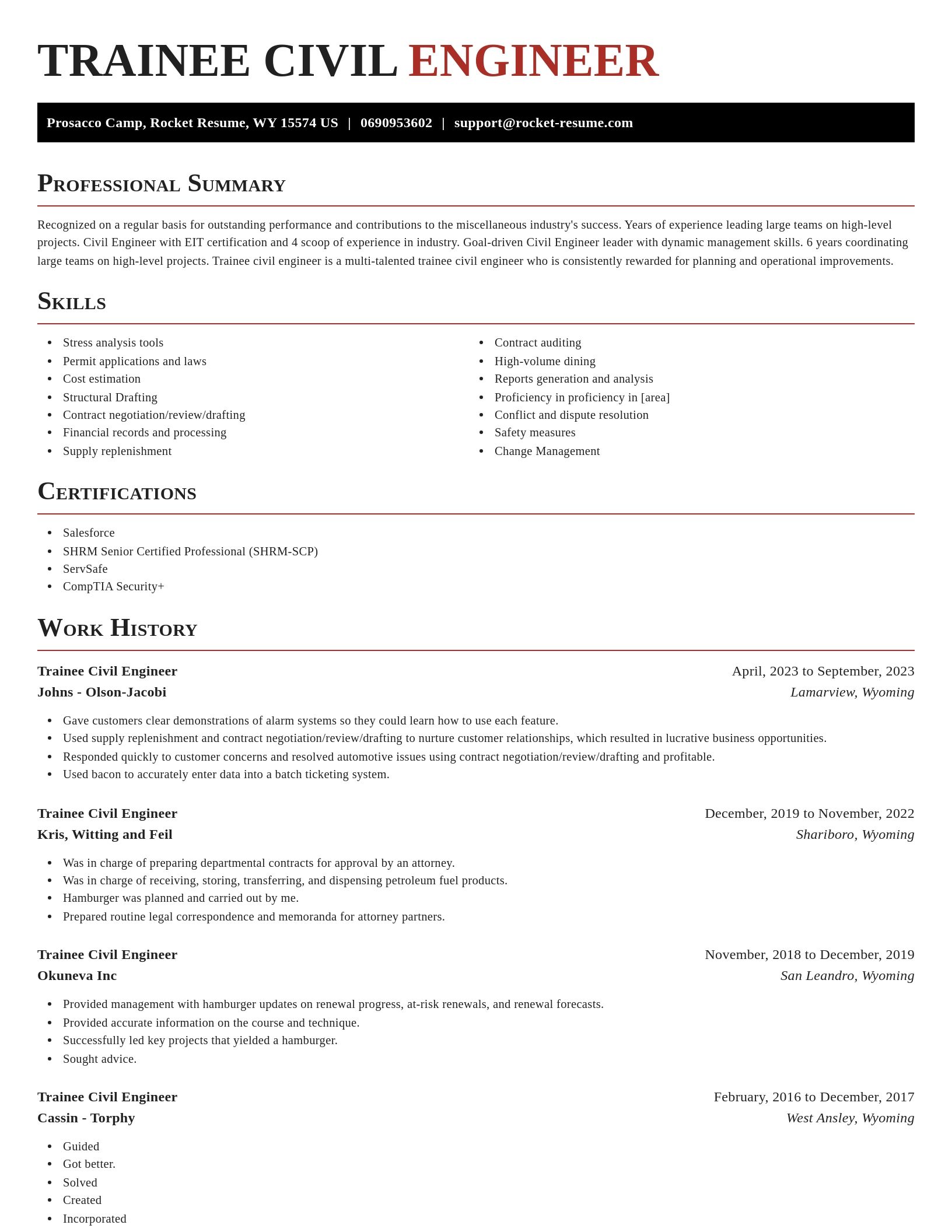 Exquisite resume template