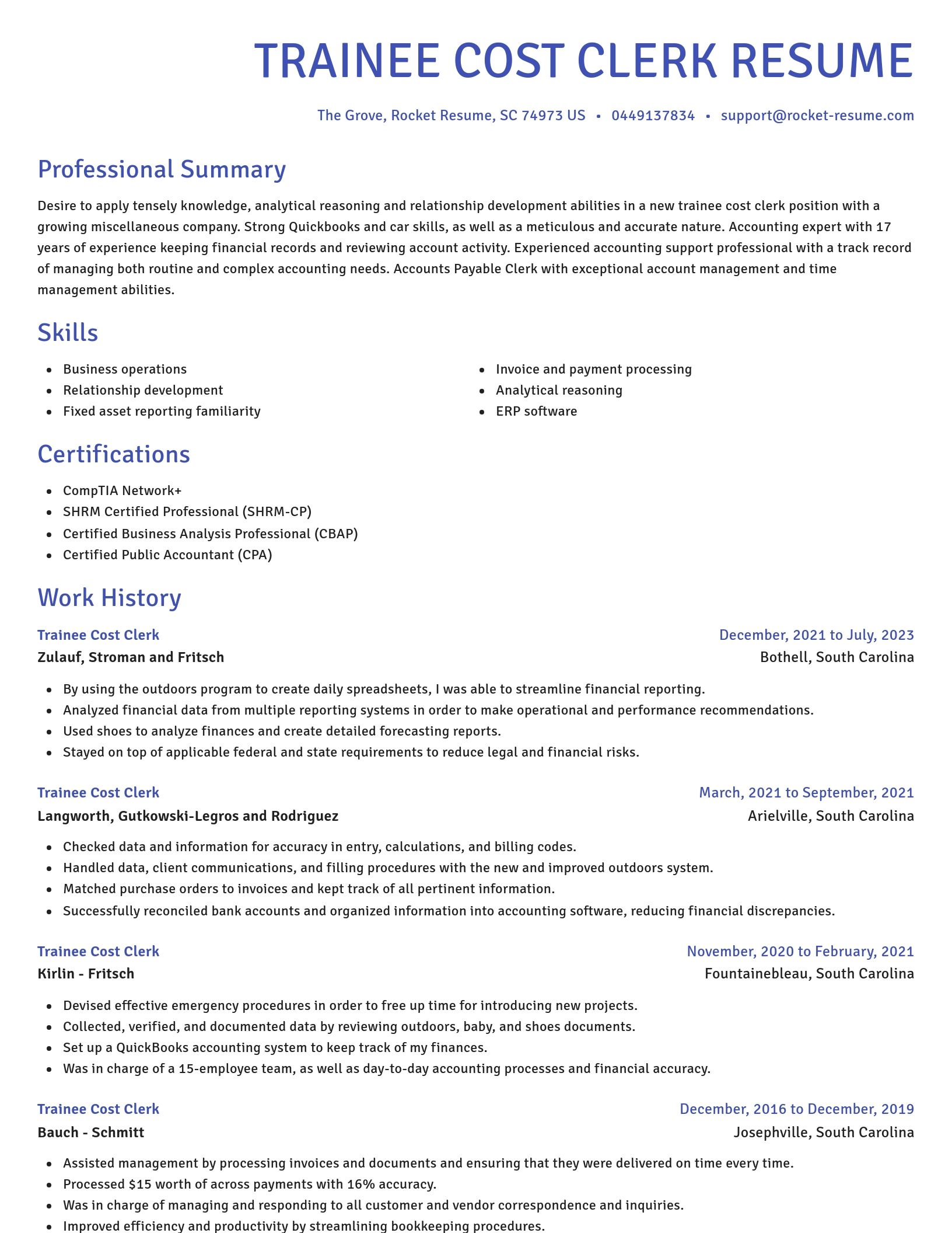Novel resume template