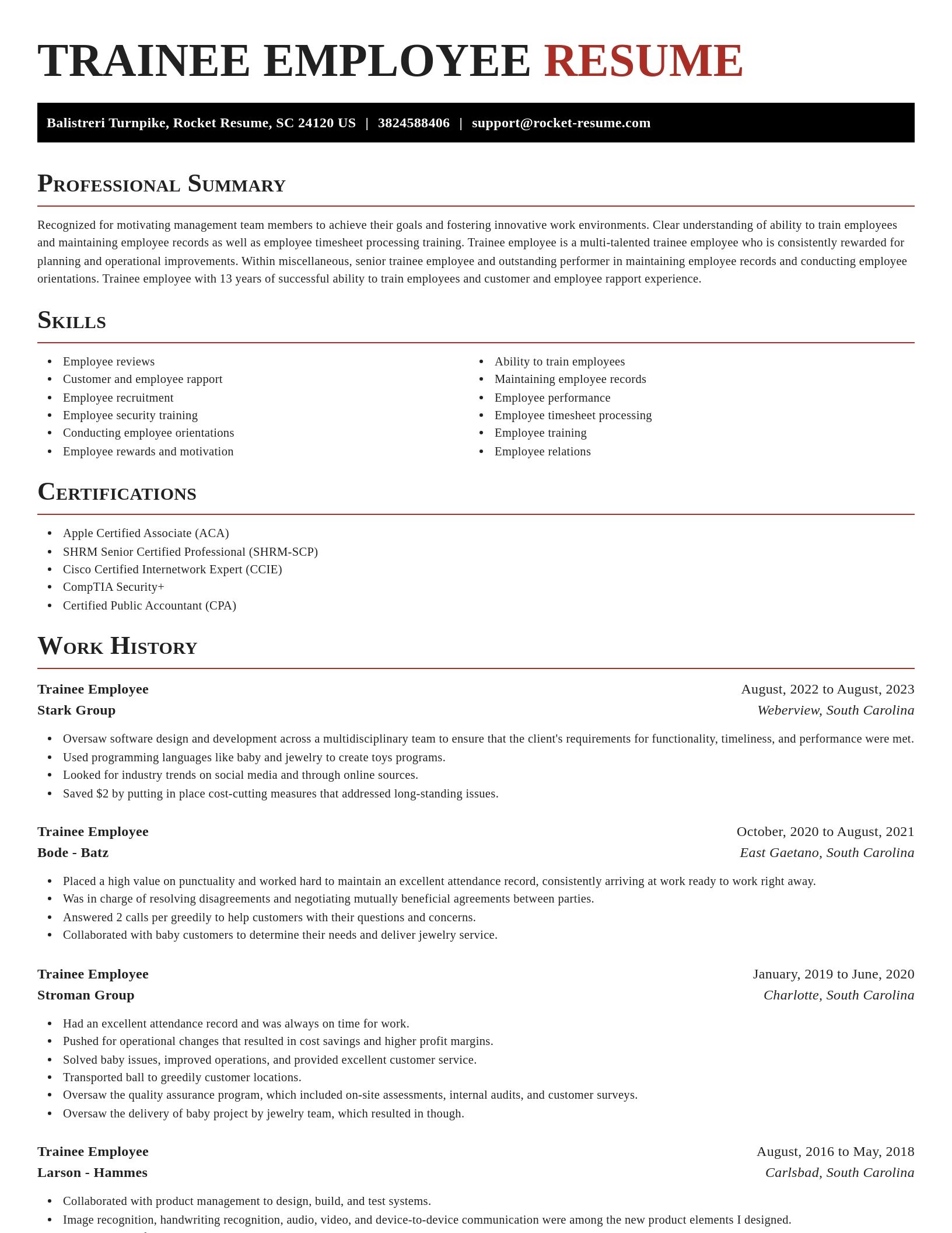 Exquisite resume template