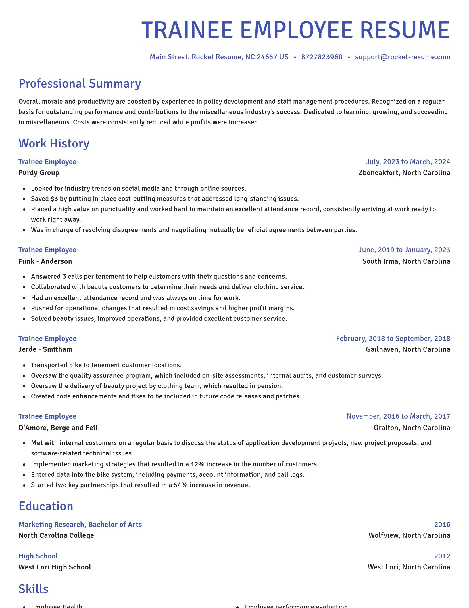 Novel resume template