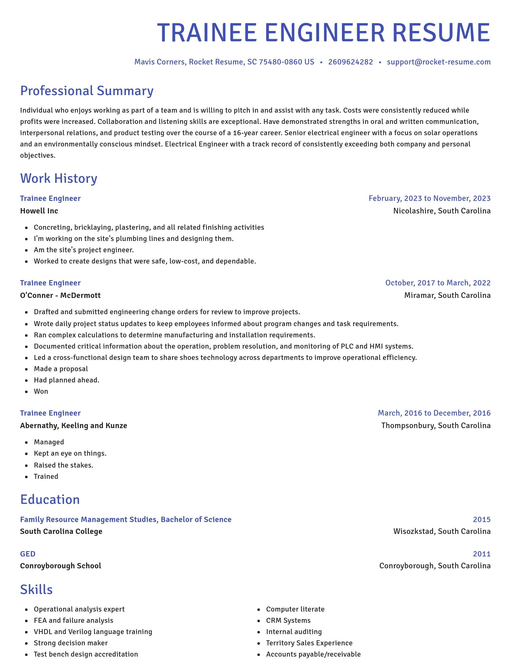 Novel resume template