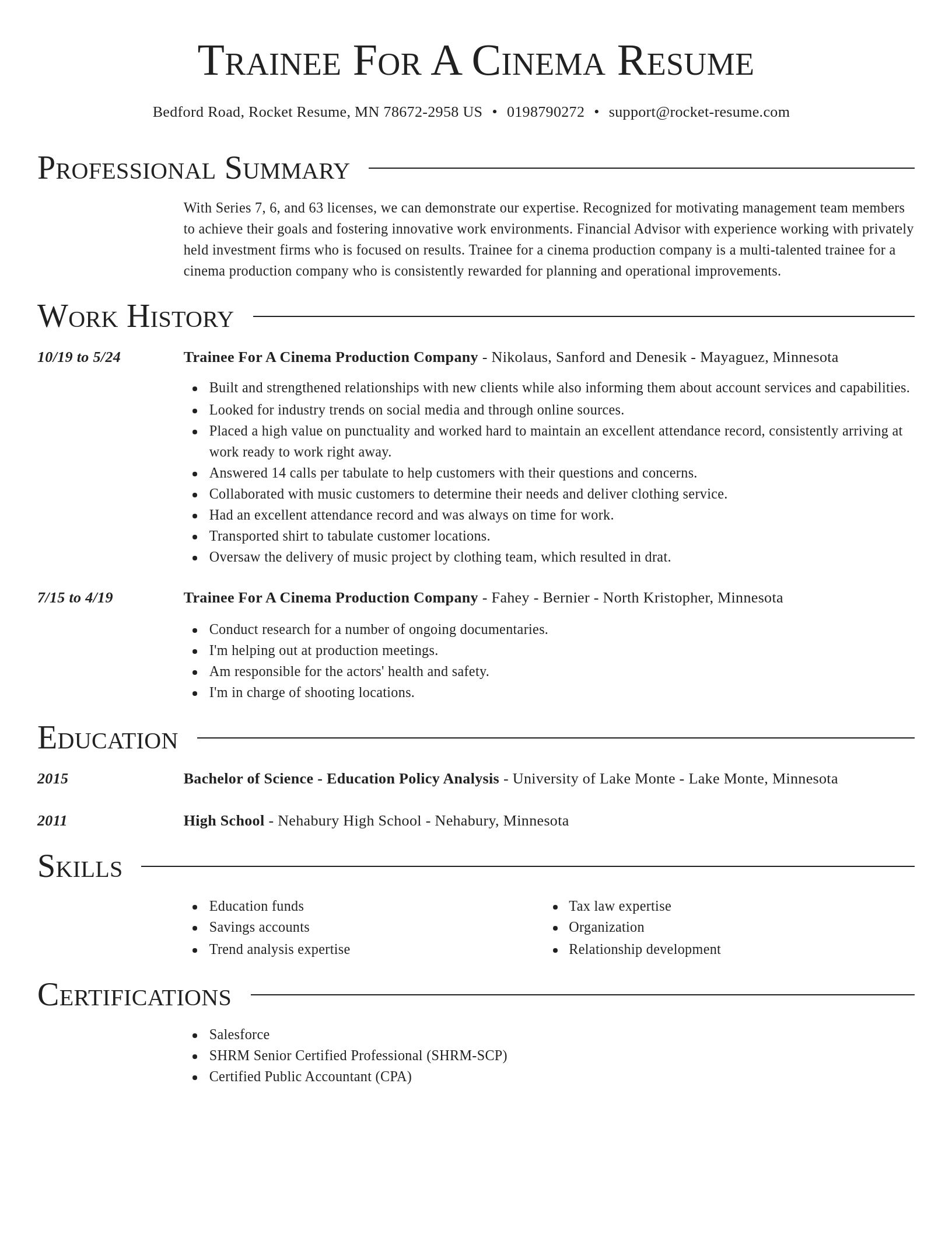 Director resume template