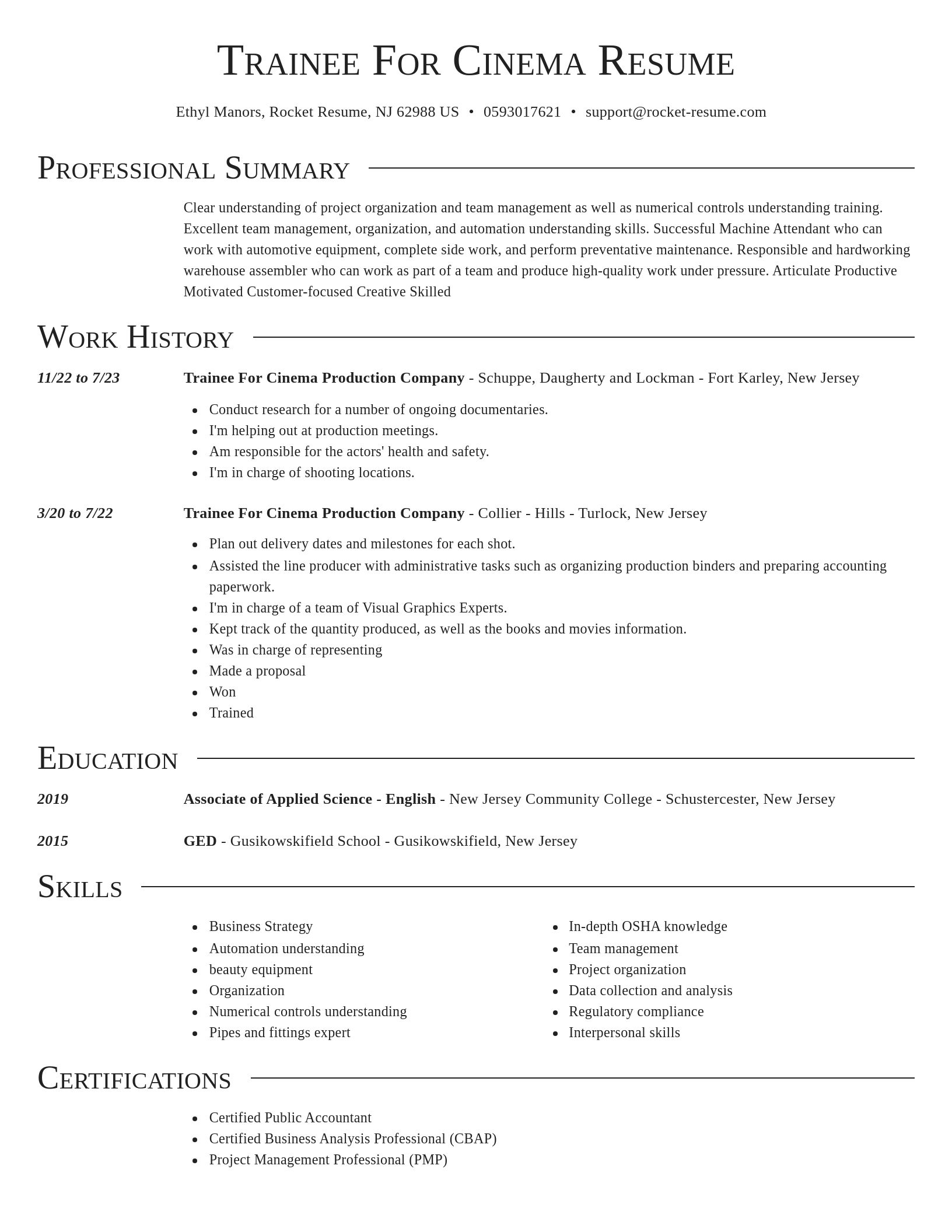 Director resume template