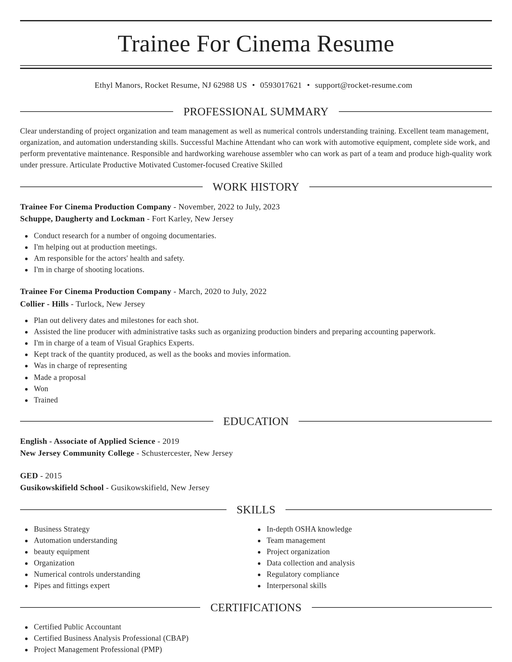 Elegant resume template