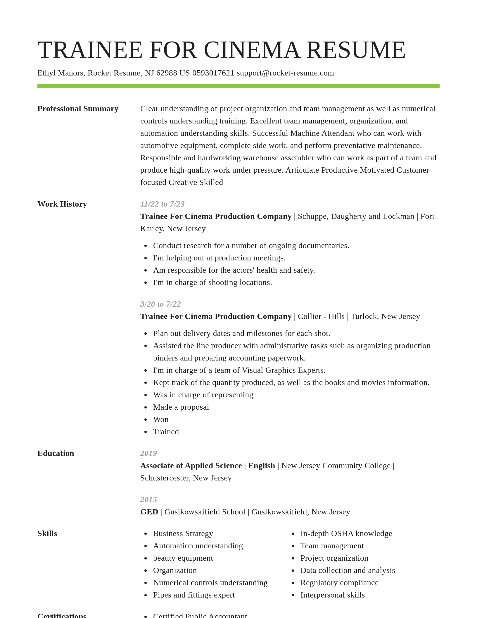 Smart resume template
