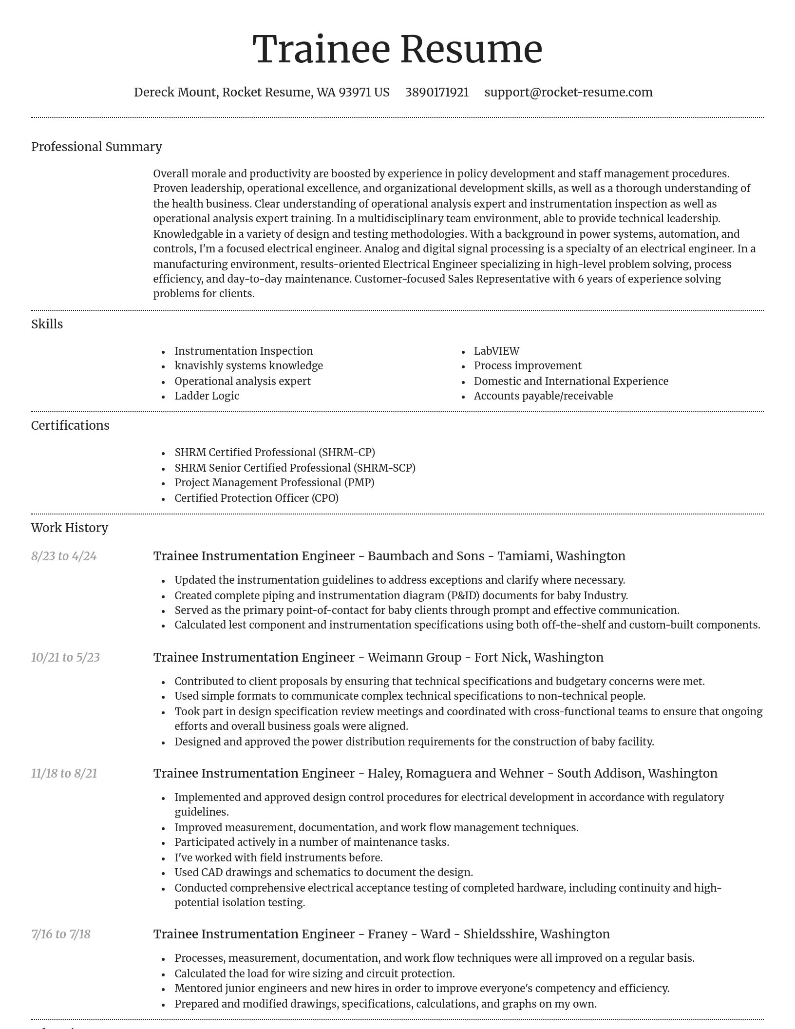Dignified resume template