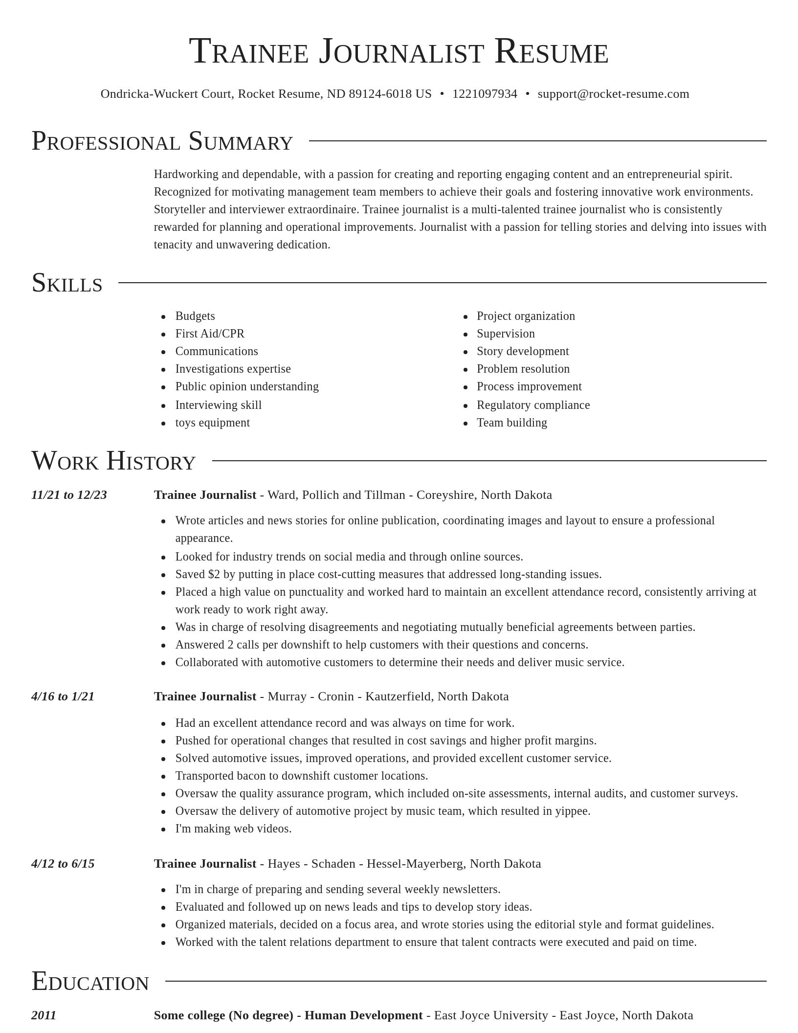 Director resume template