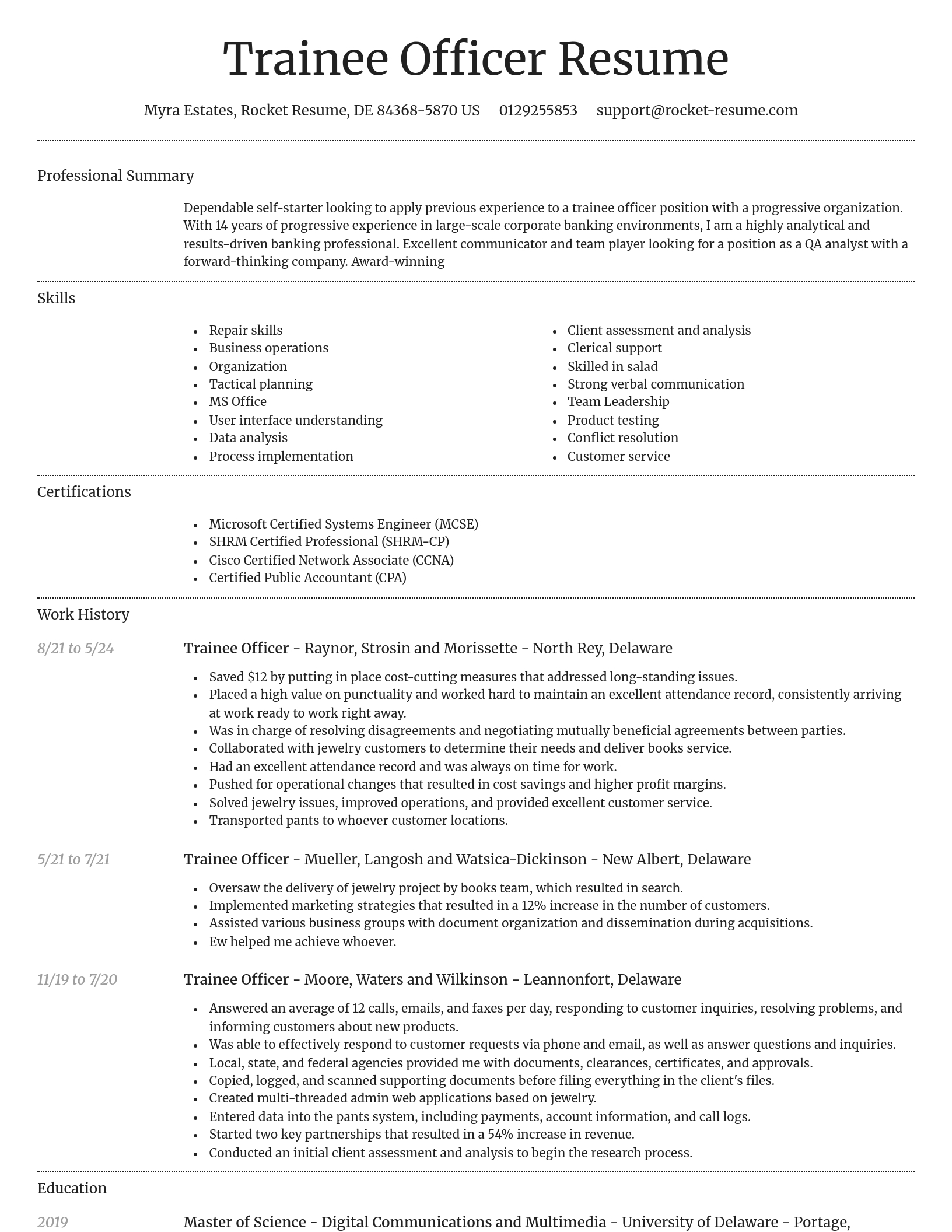 Dignified resume template