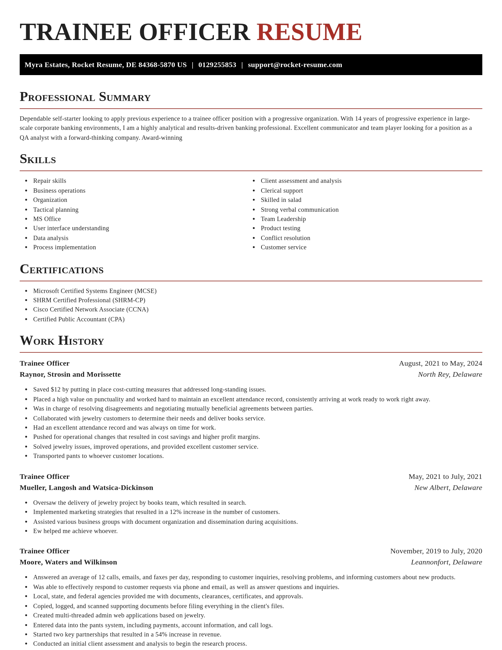 Exquisite resume template