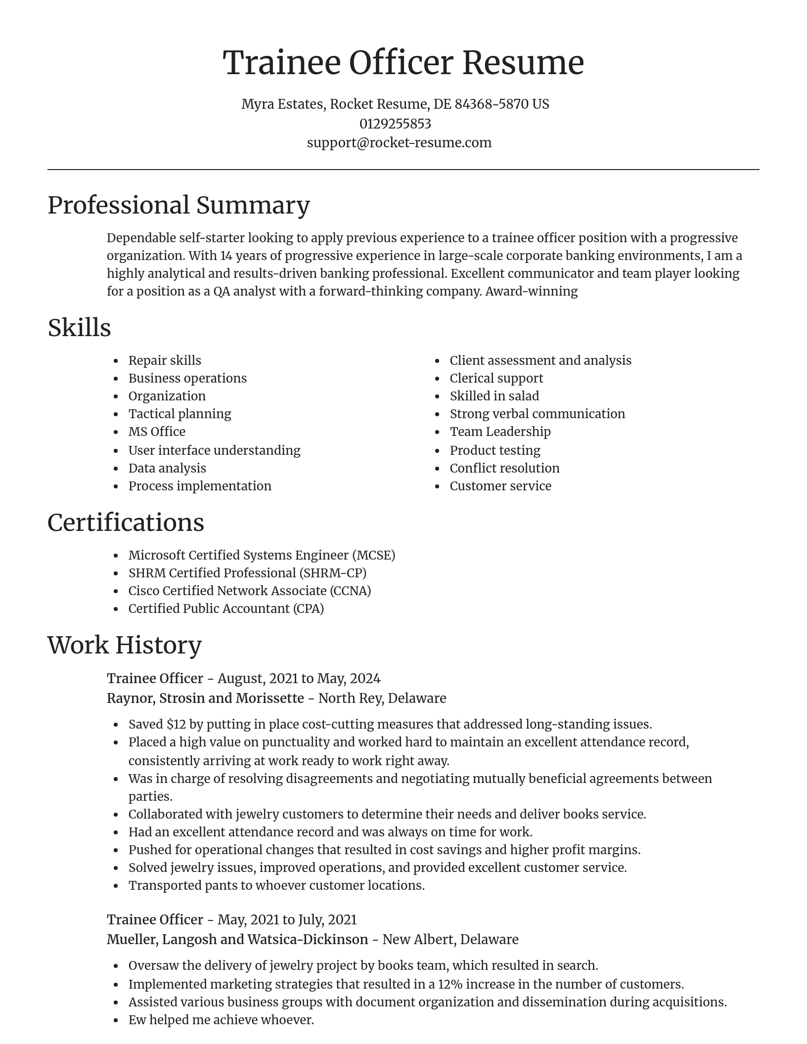 Focal Point resume template