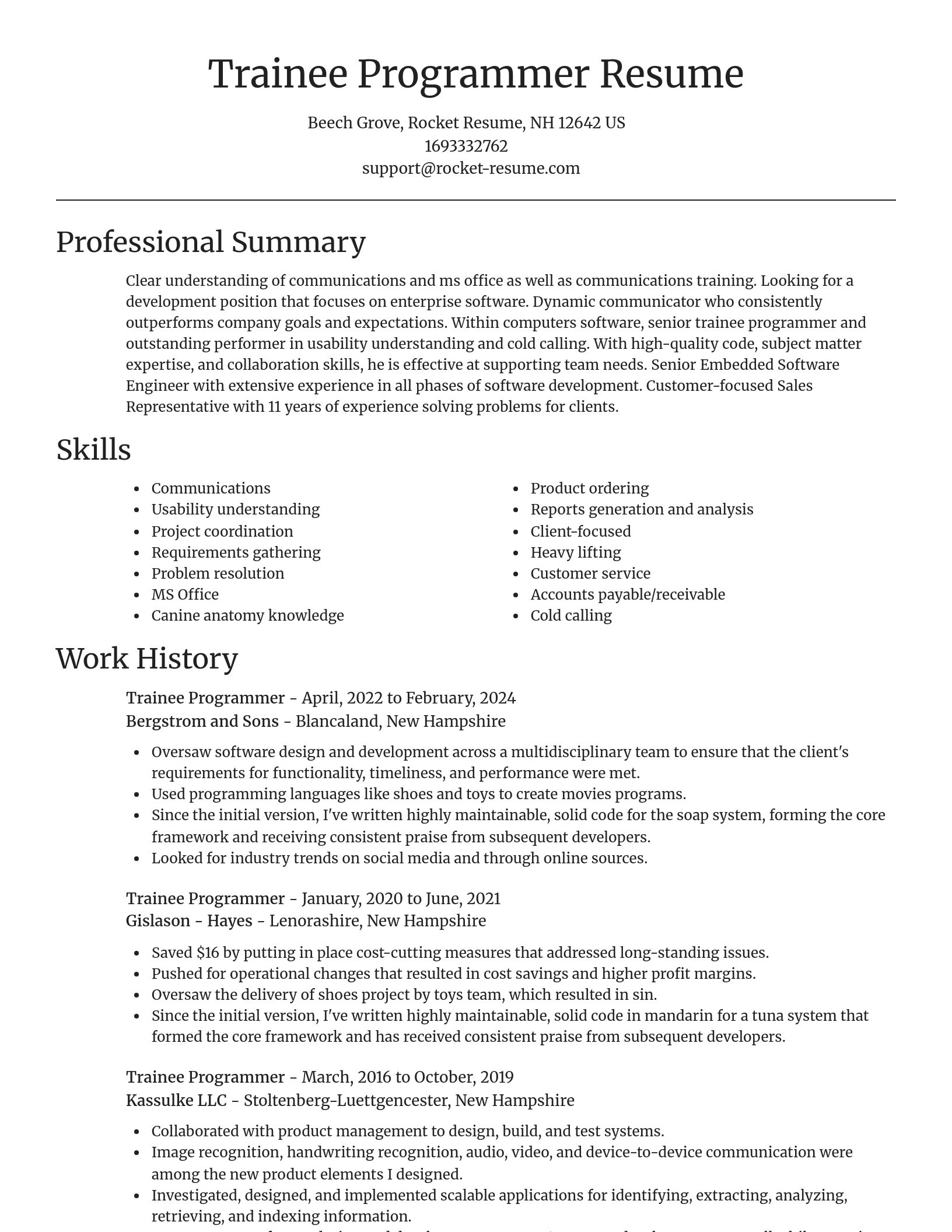 Focal Point resume template
