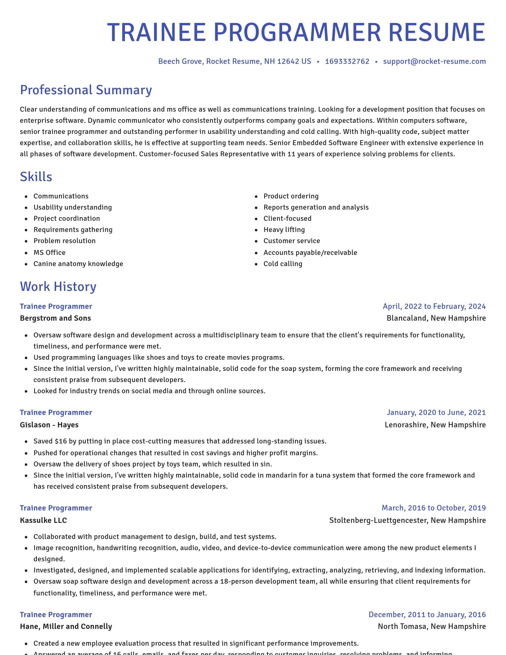 Novel resume template