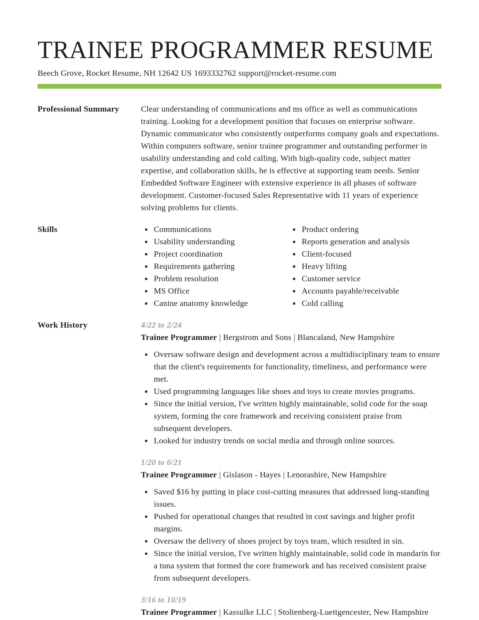 Smart resume template