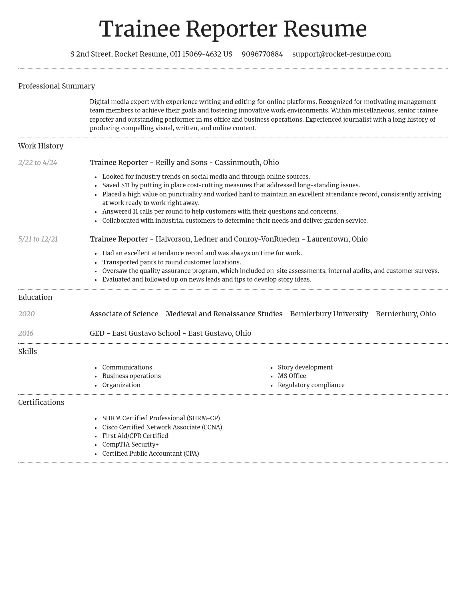 Dignified resume template