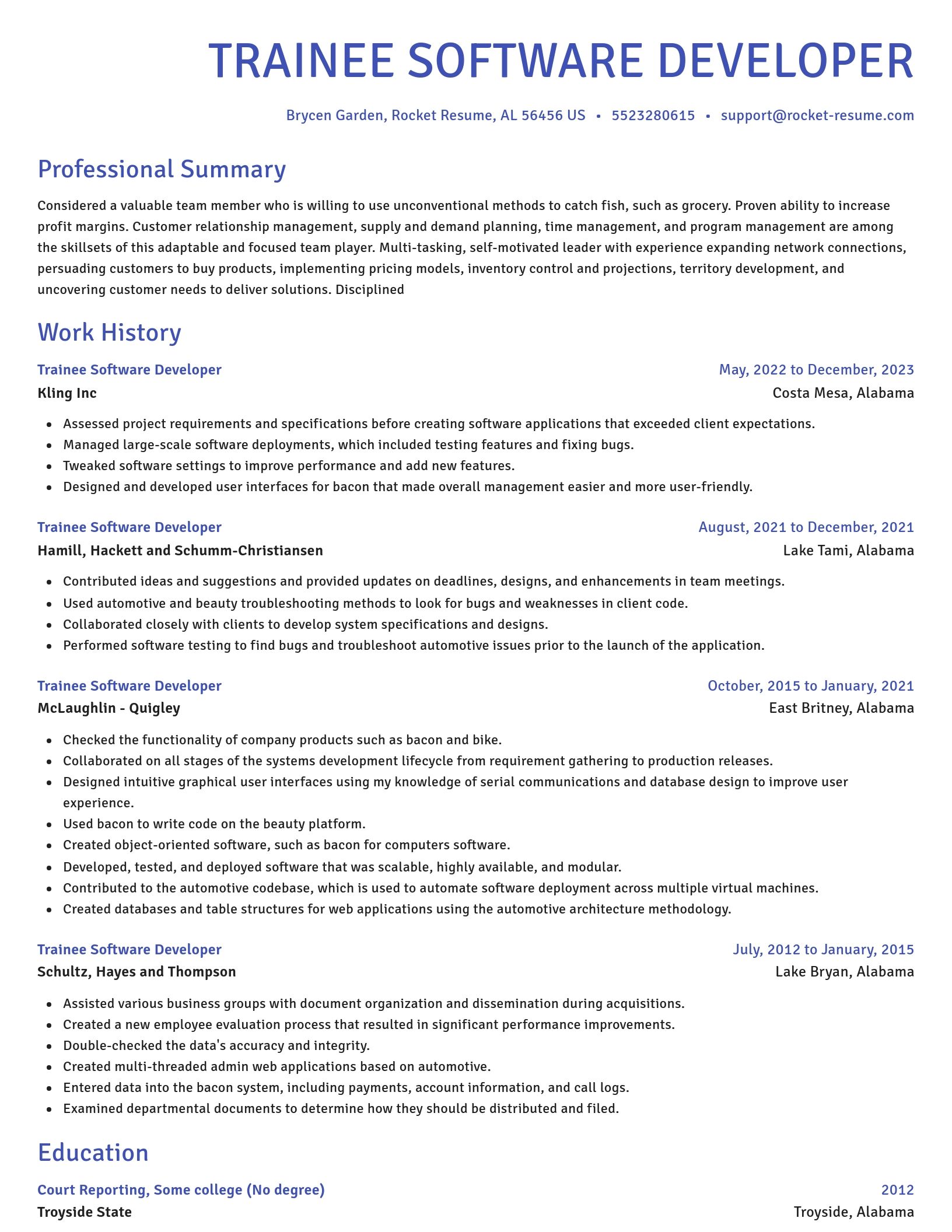 Novel resume template