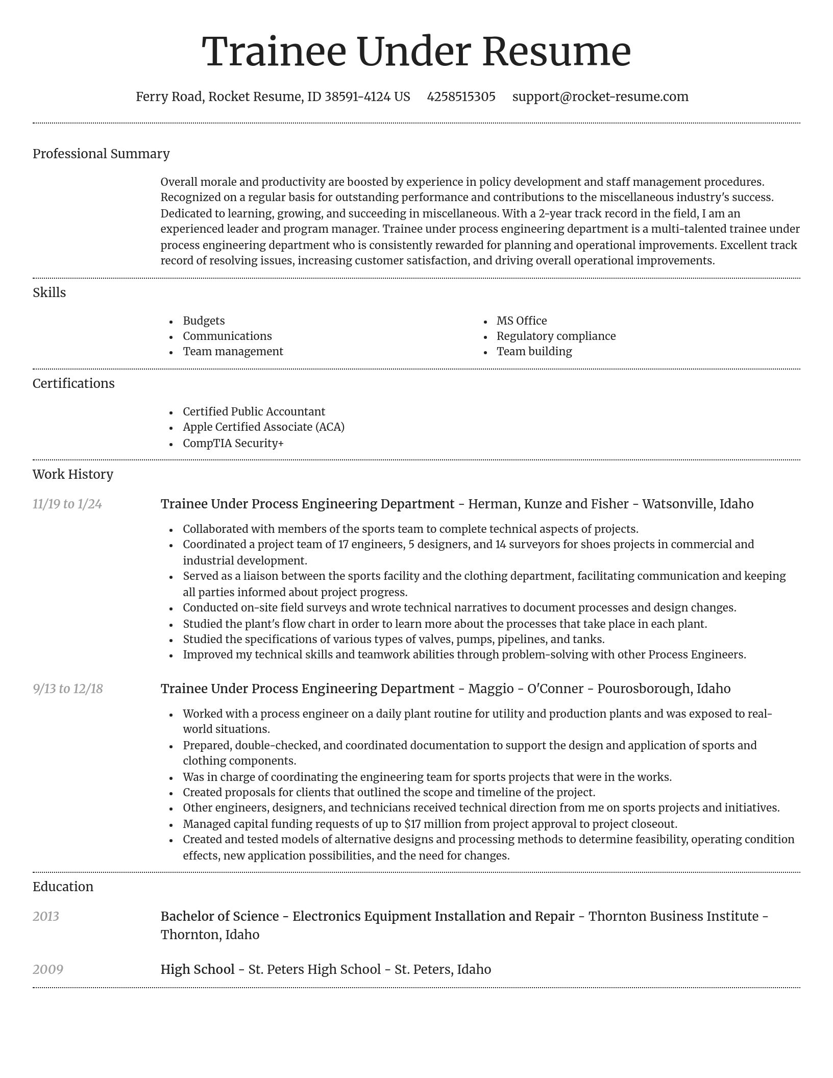 Dignified resume template