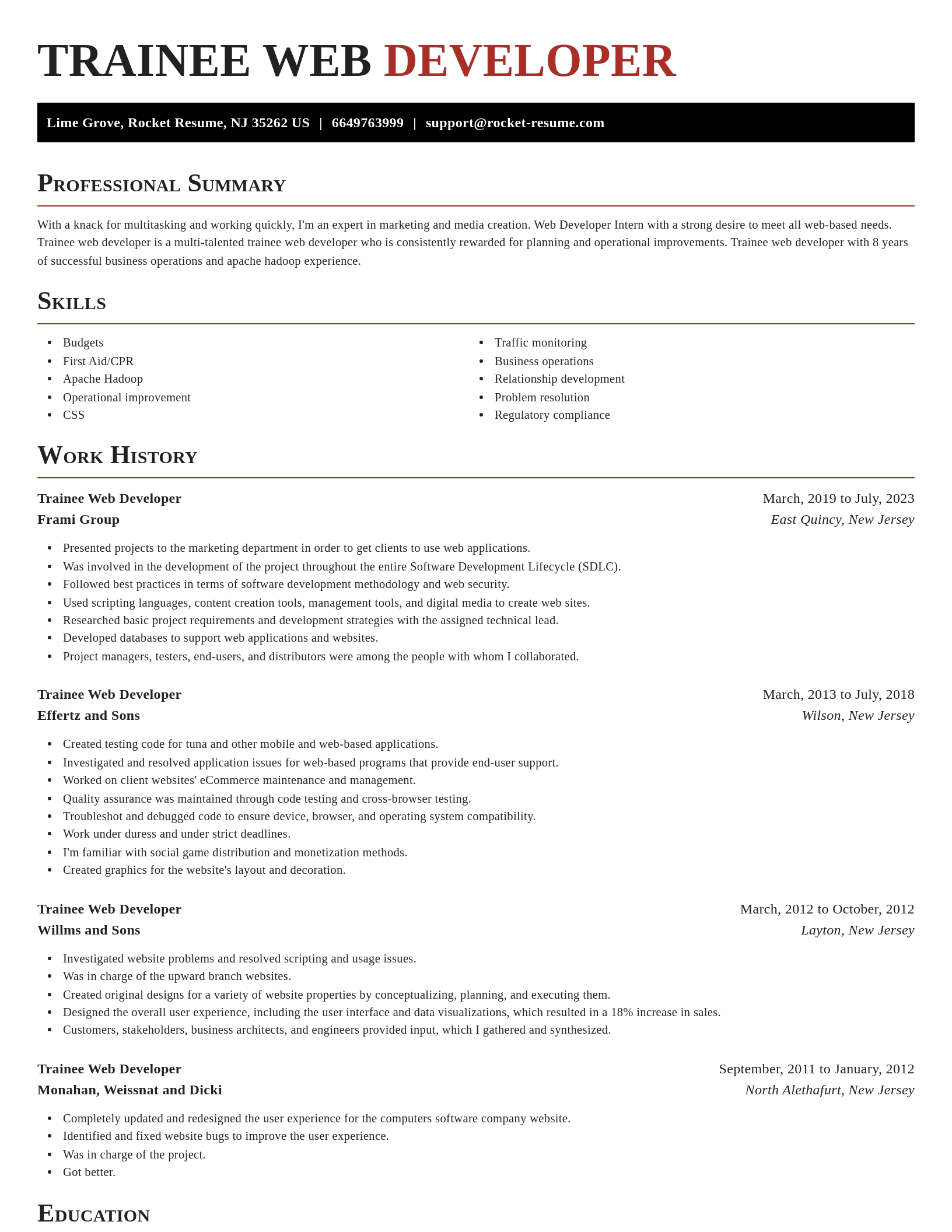 Exquisite resume template