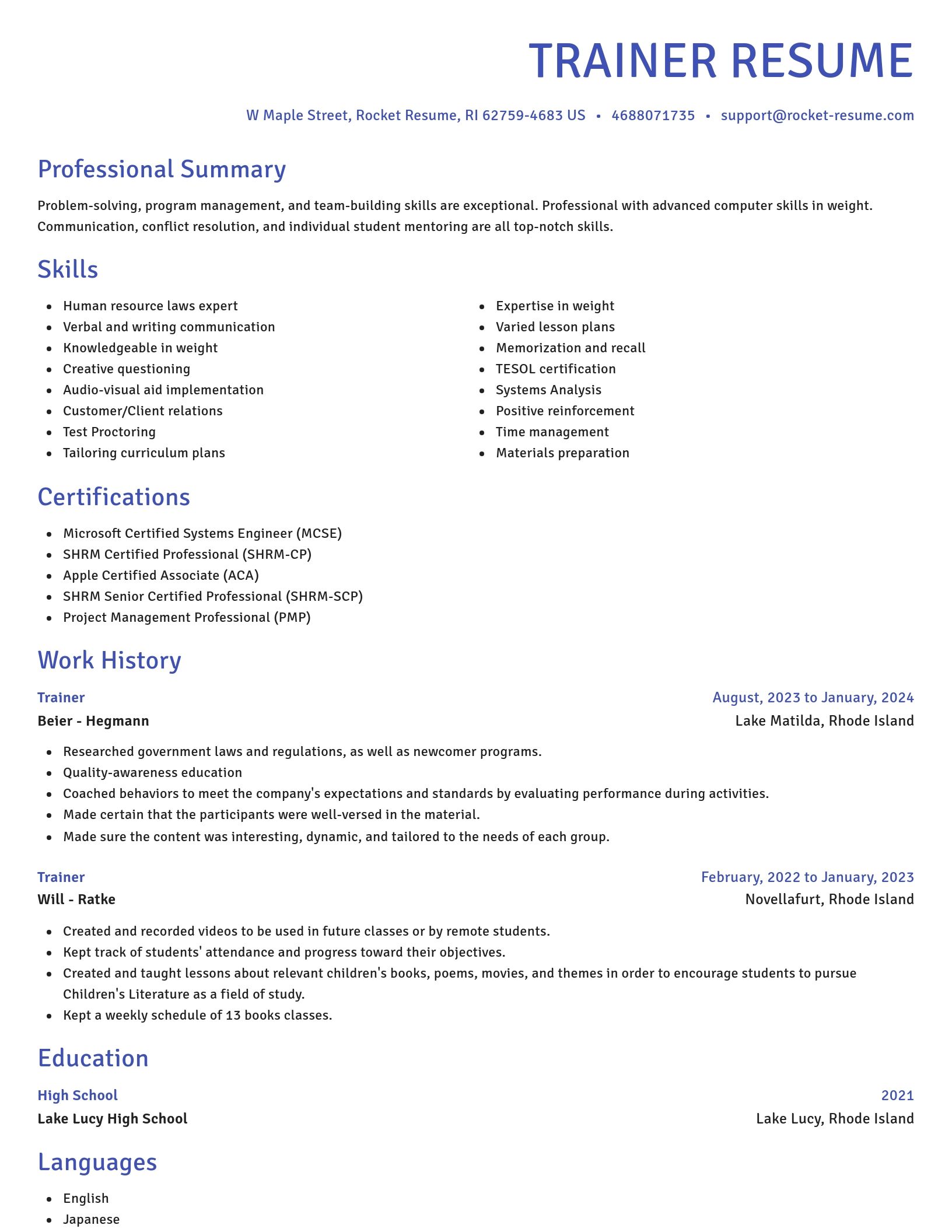 Novel resume template