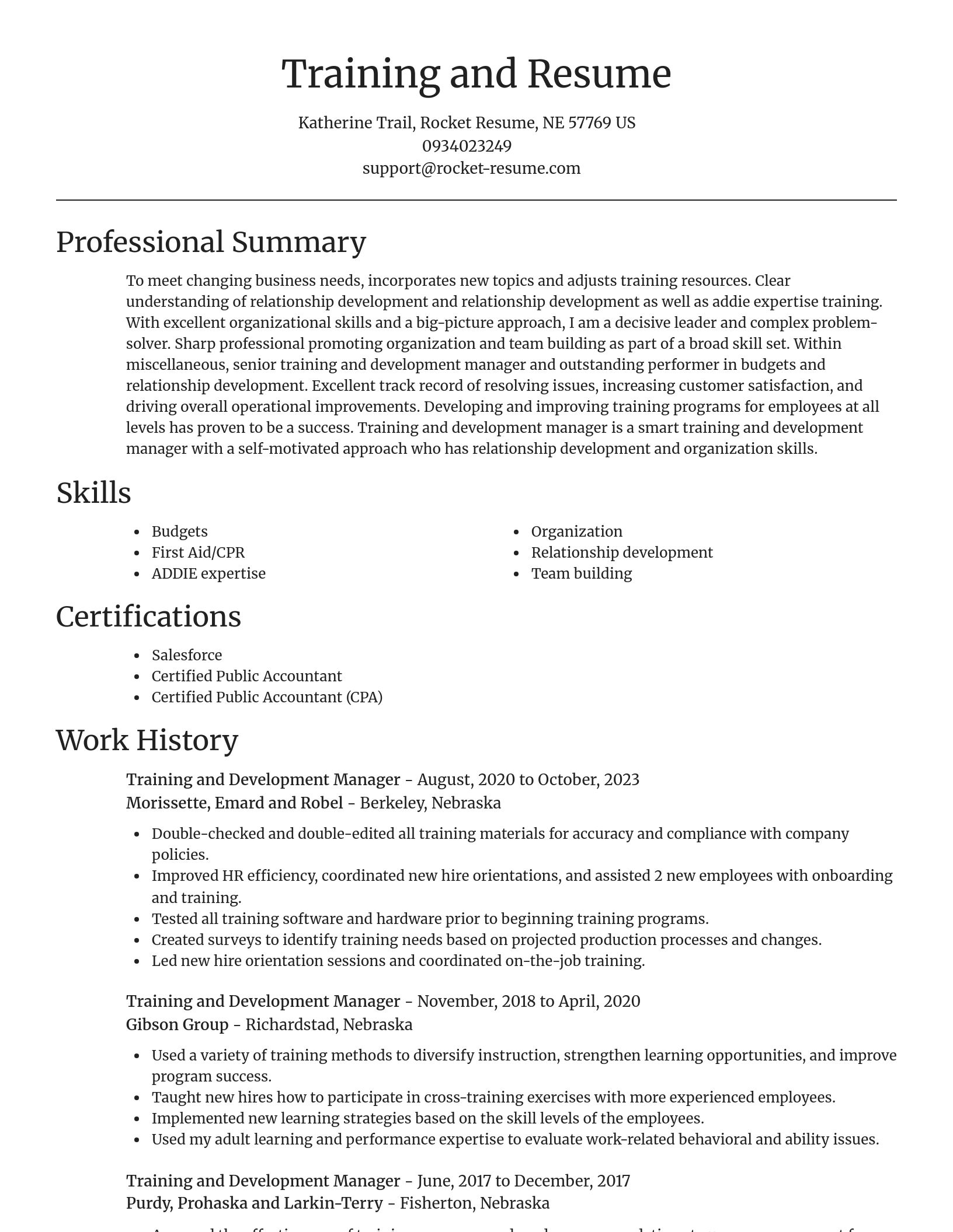Focal Point resume template