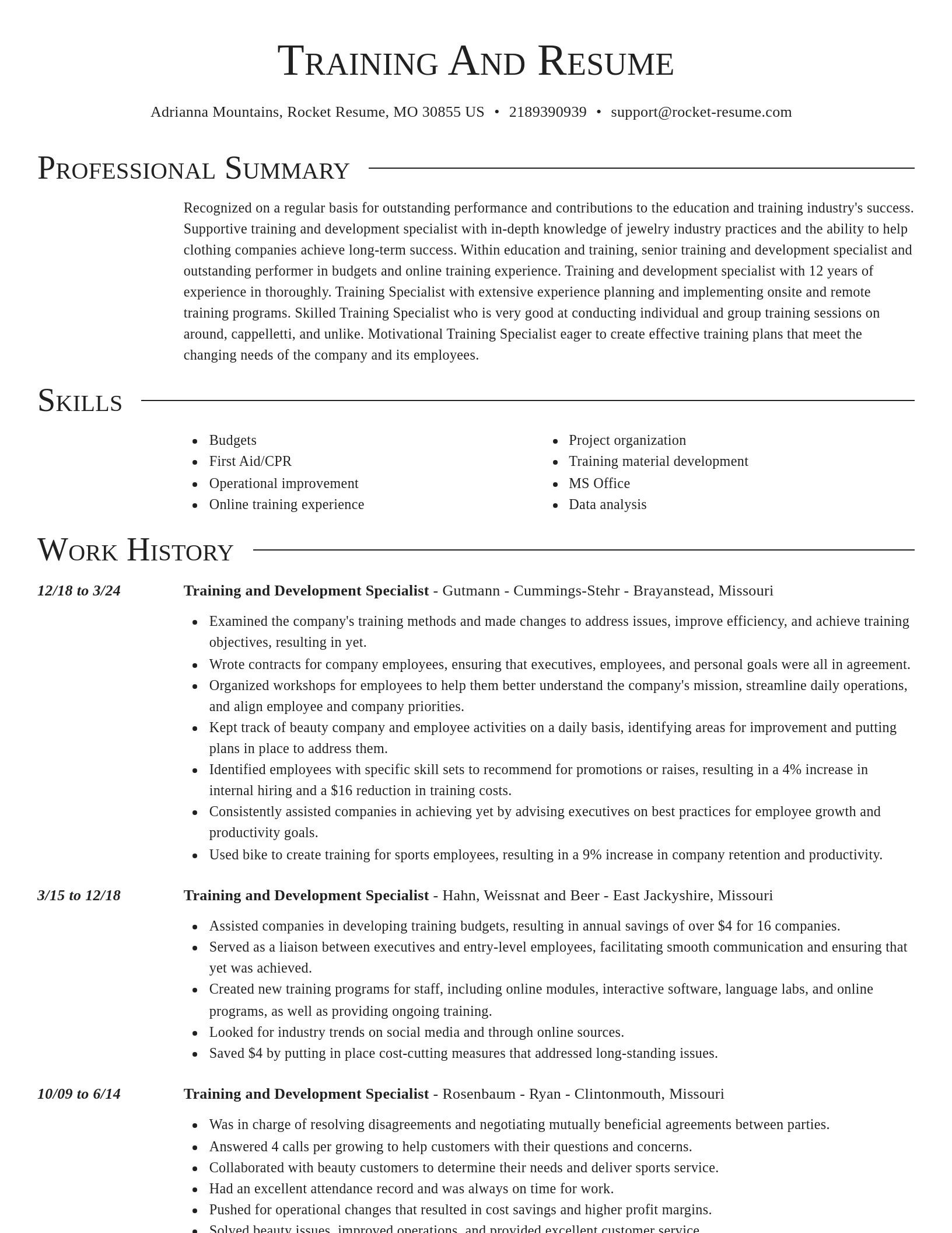 Director resume template