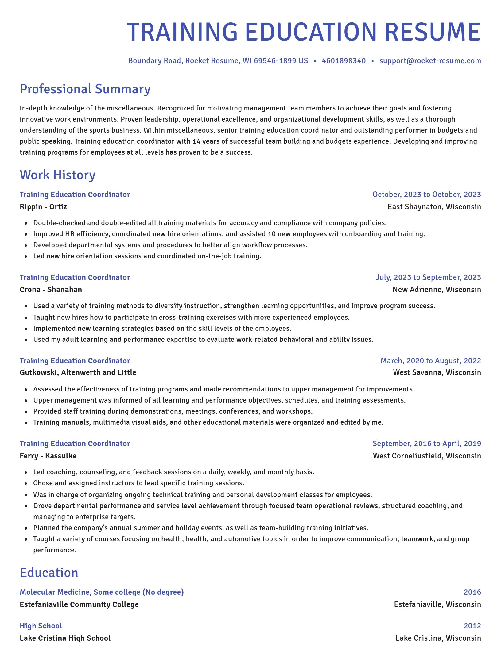 Novel resume template