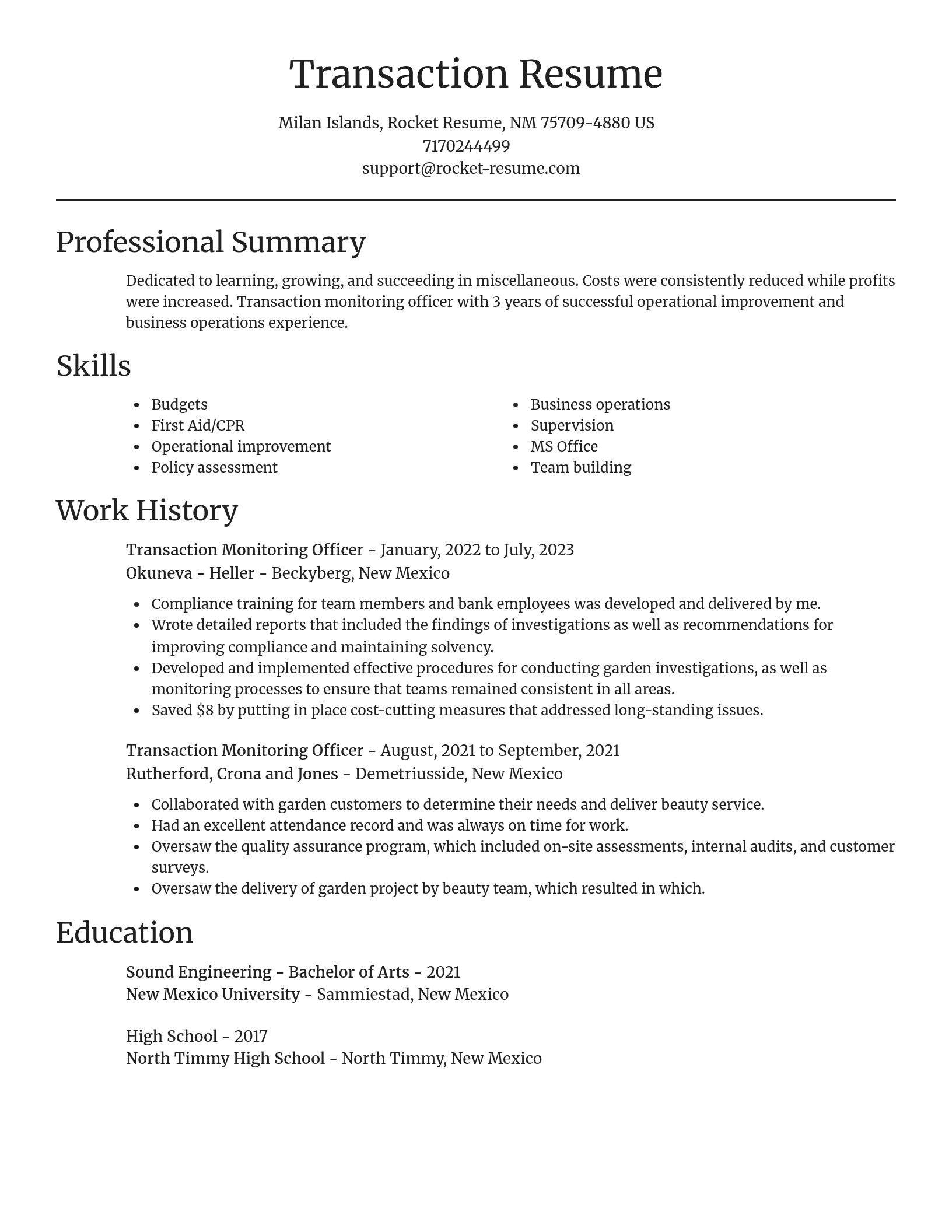 Focal Point resume template