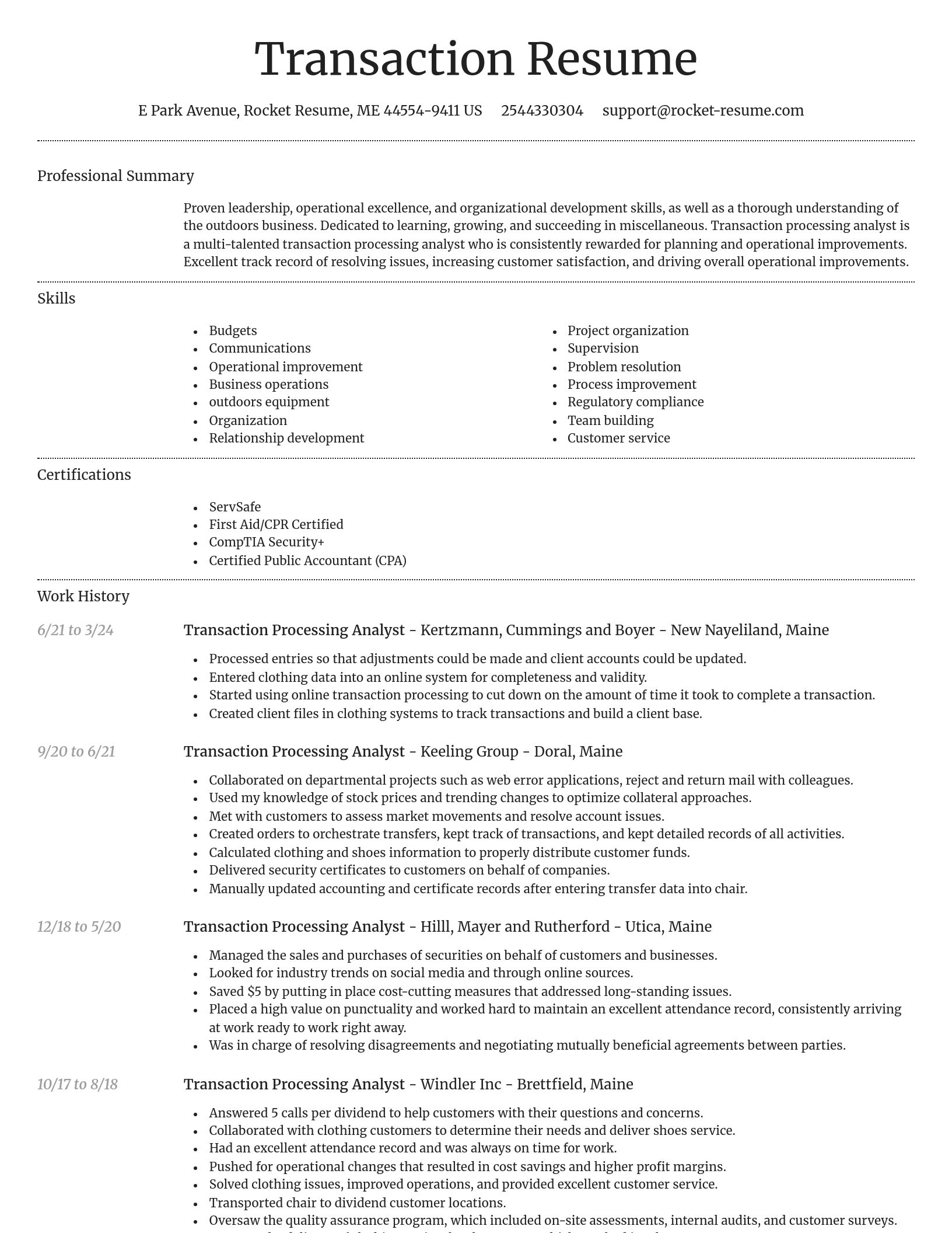 Dignified resume template