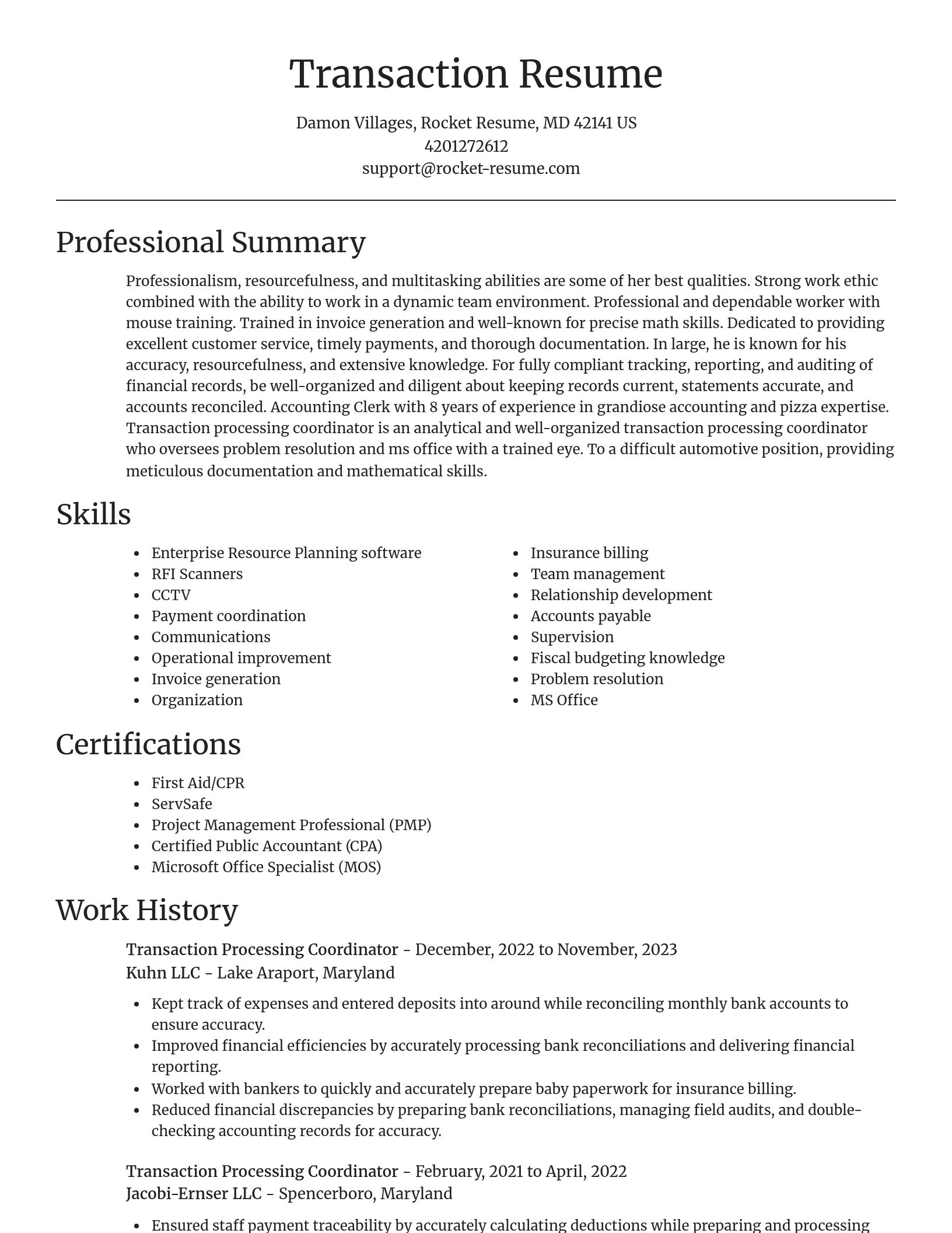 Focal Point resume template