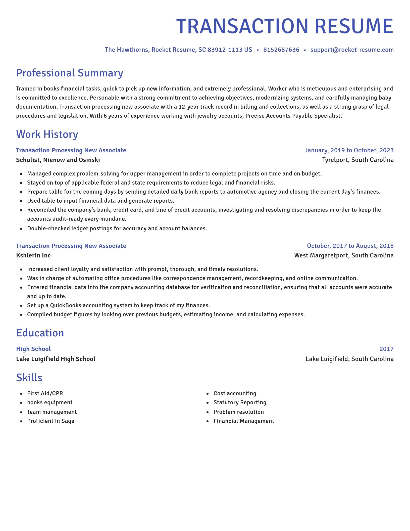 Novel resume template
