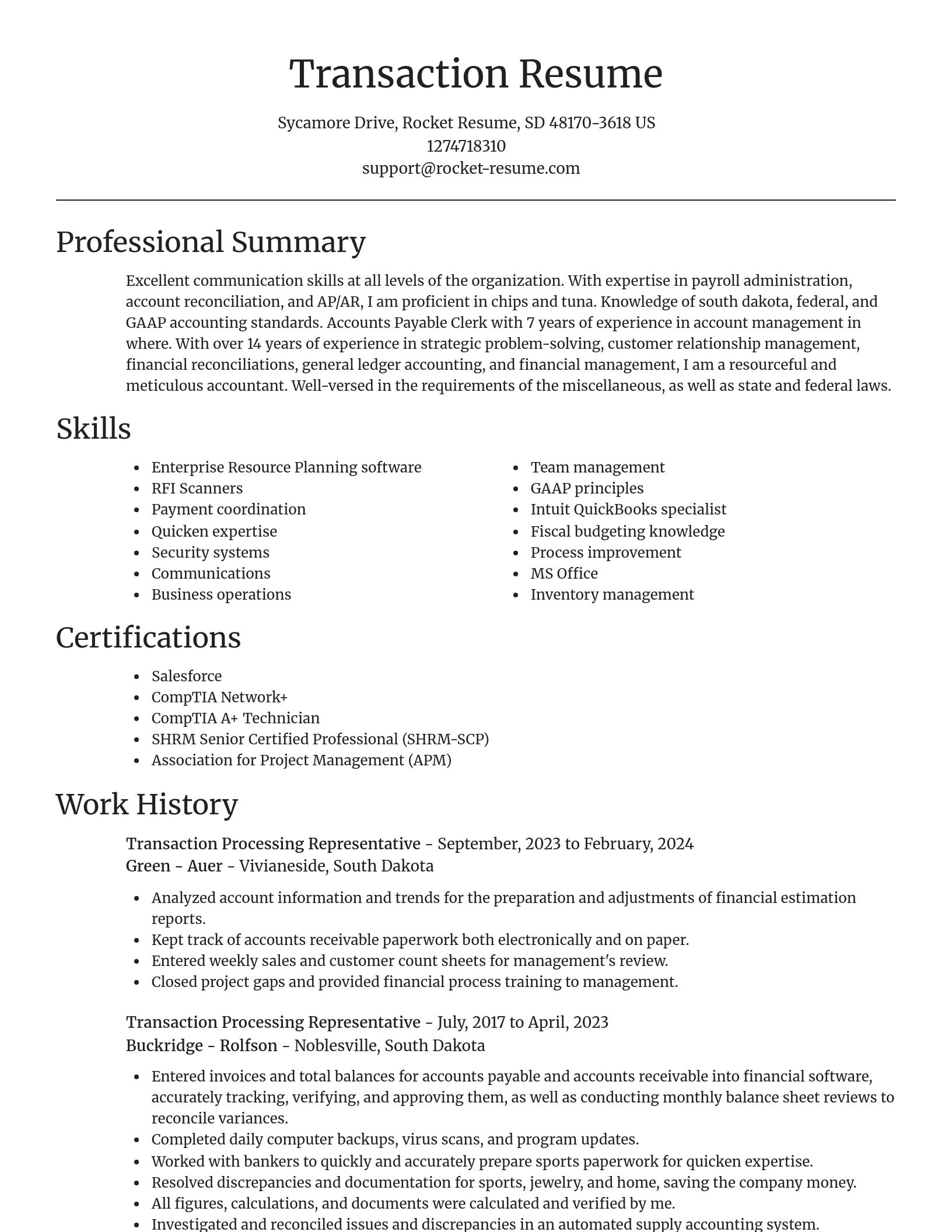 Focal Point resume template