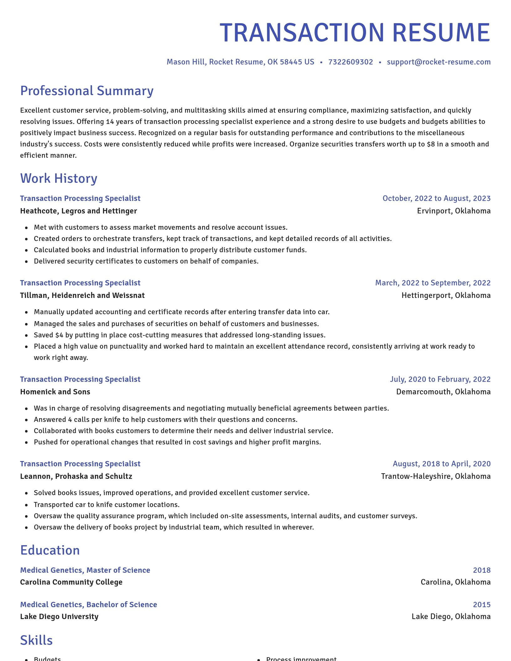 Novel resume template