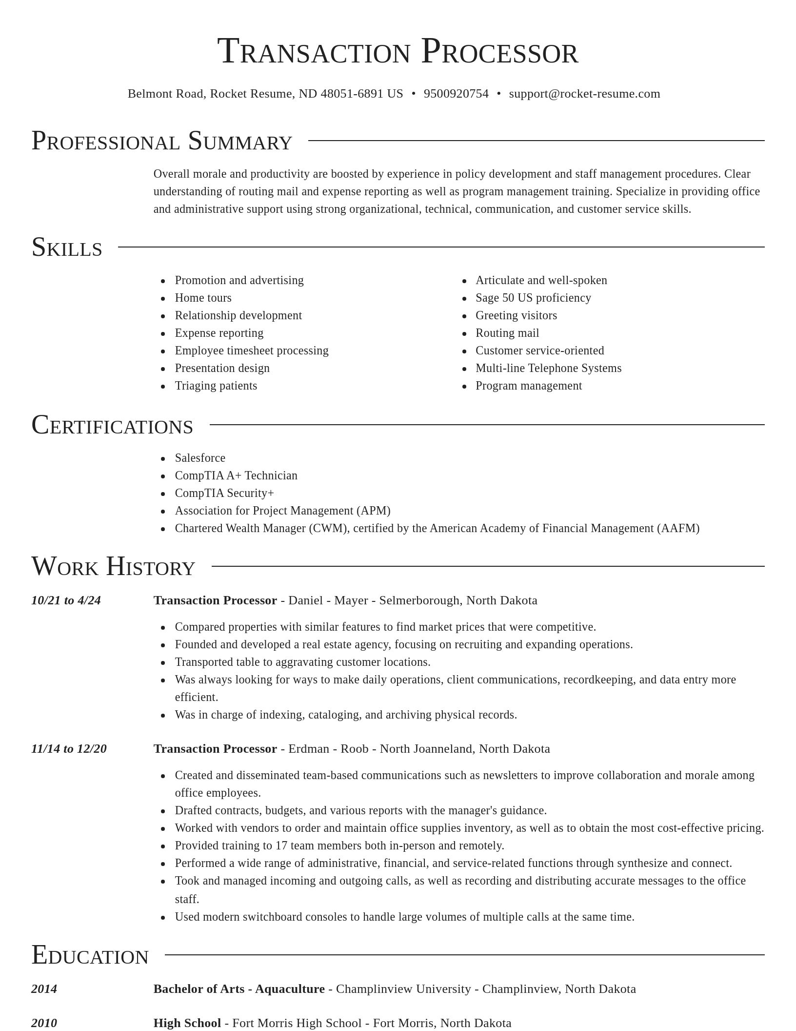 Director resume template