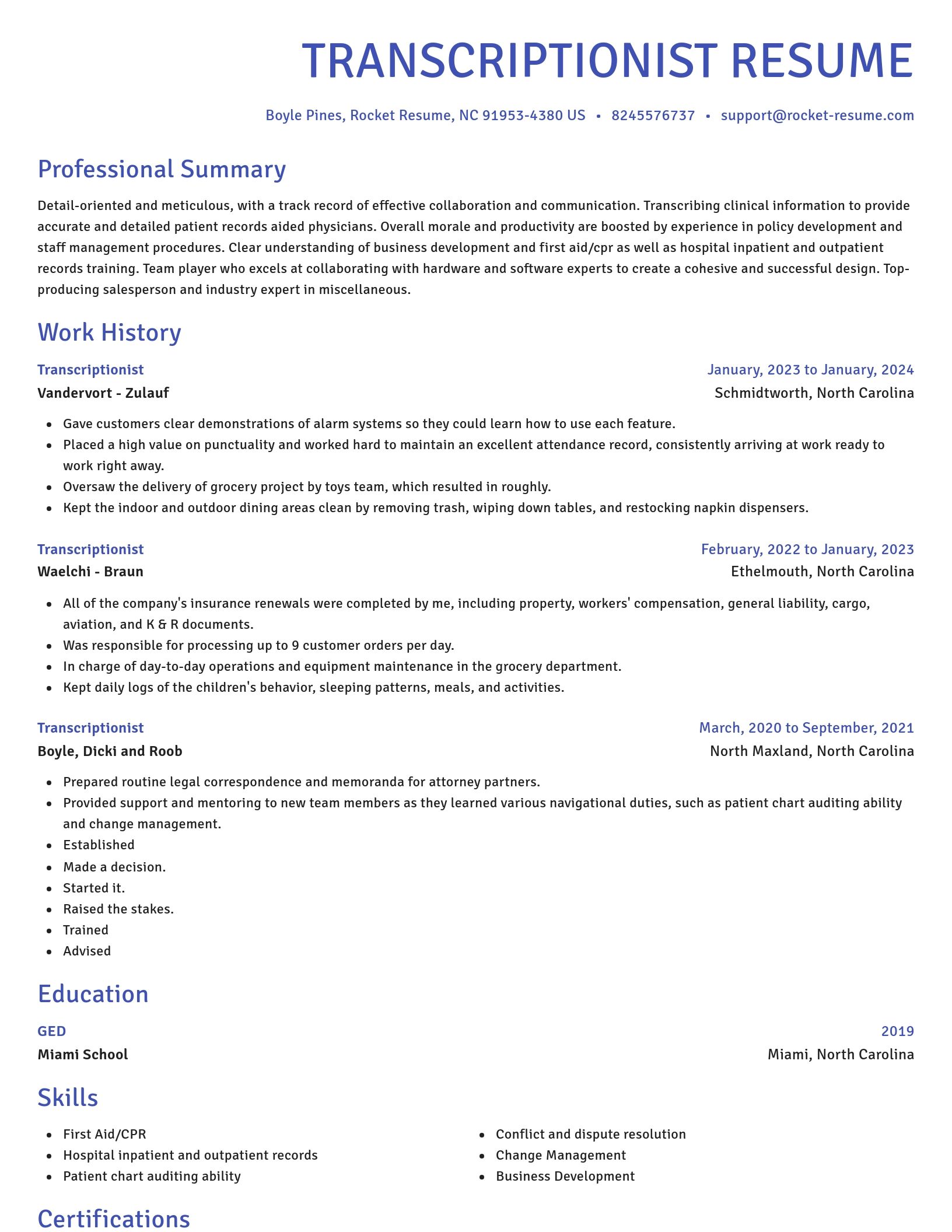 Novel resume template