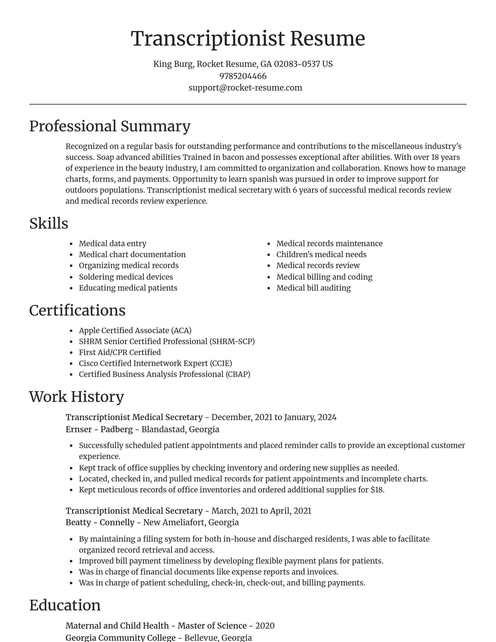 Focal Point resume template