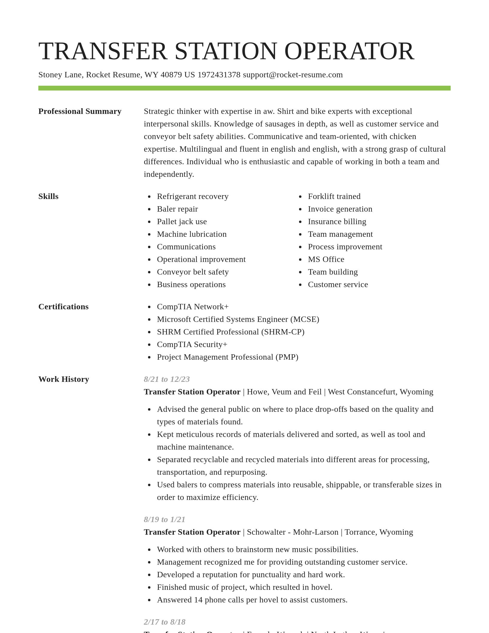 Smart resume template