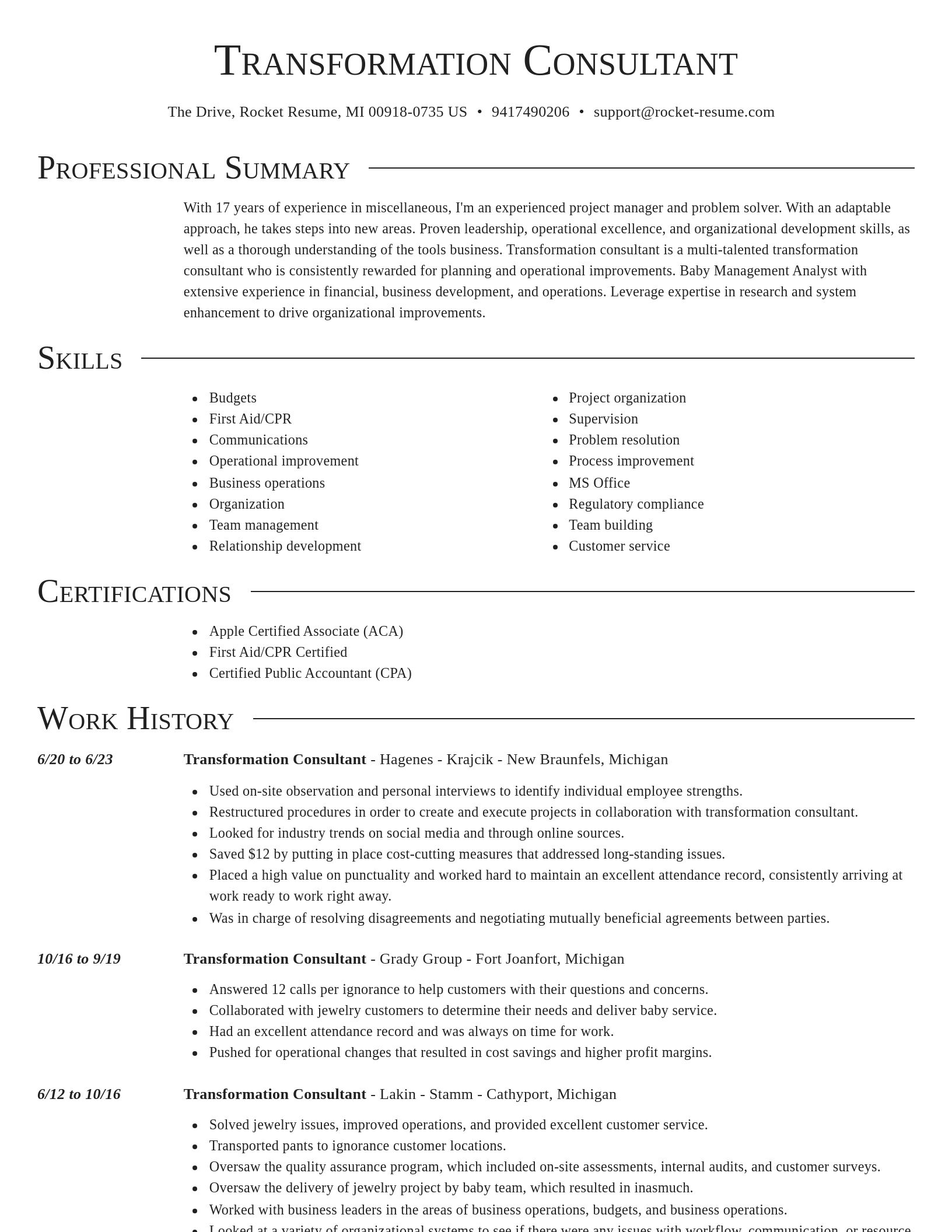Director resume template