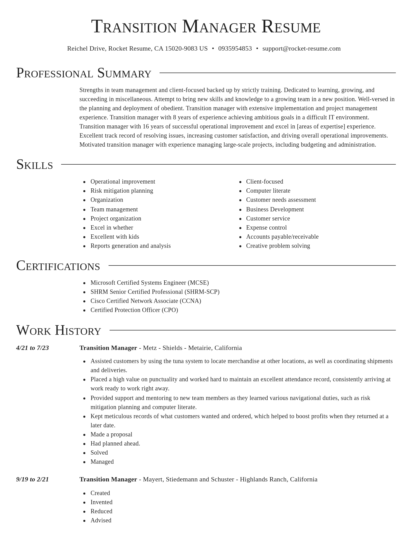 Director resume template