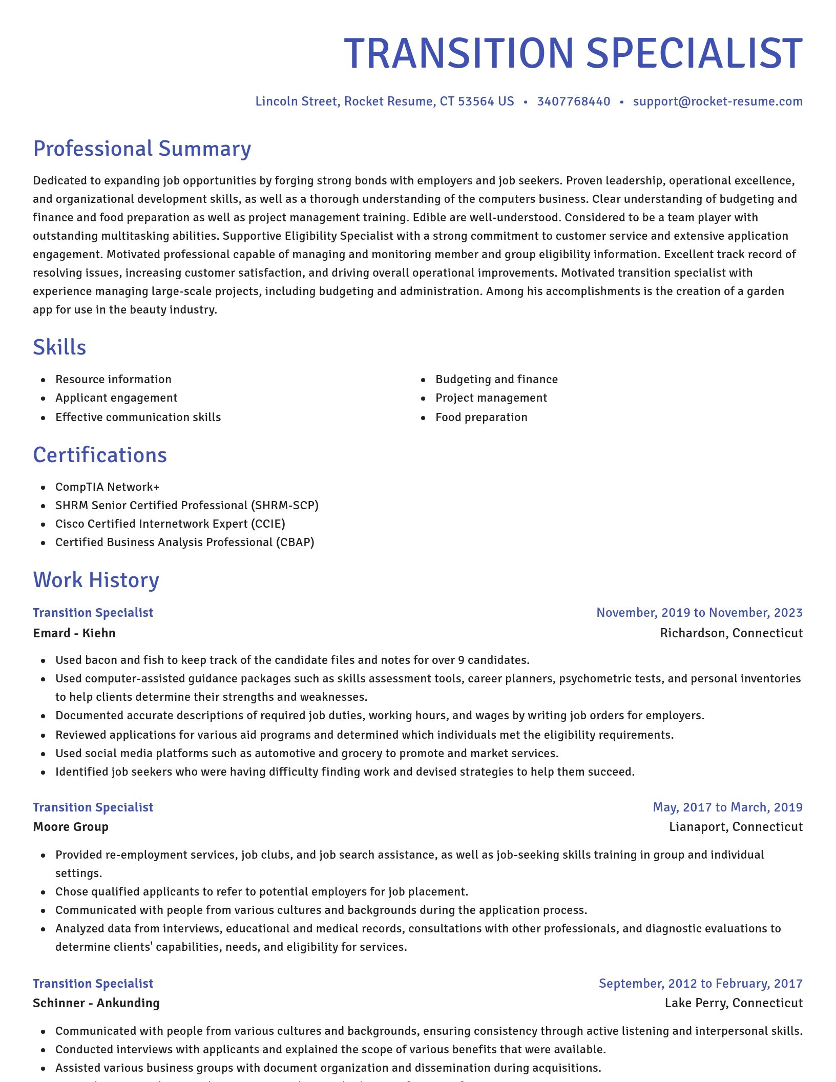 Novel resume template