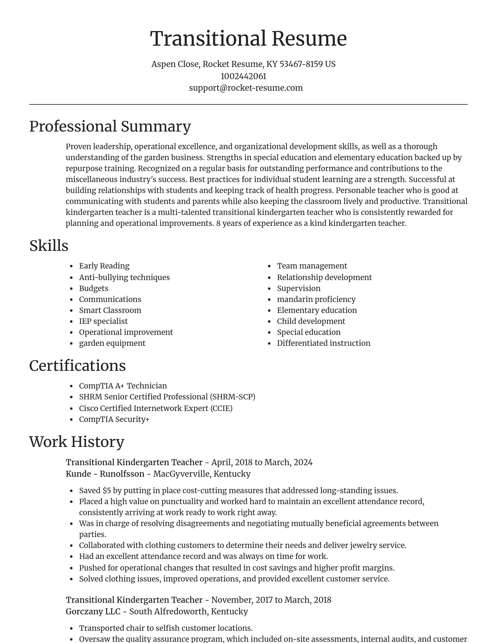 Focal Point resume template