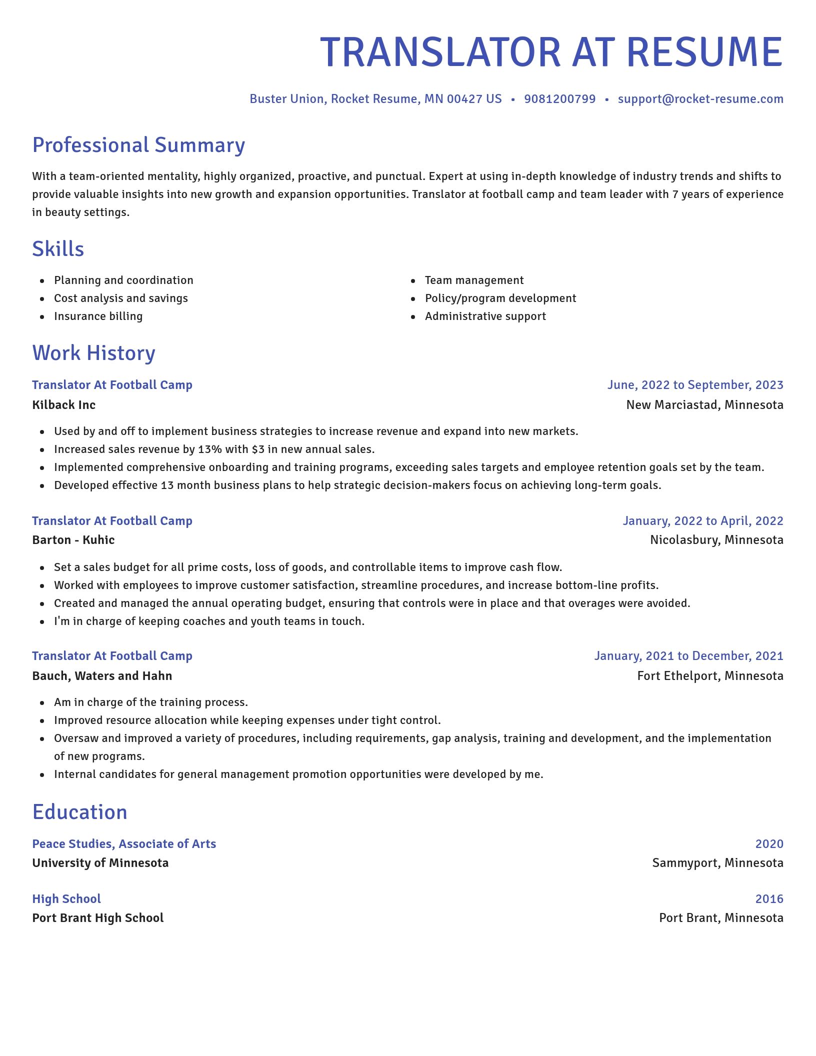 Novel resume template