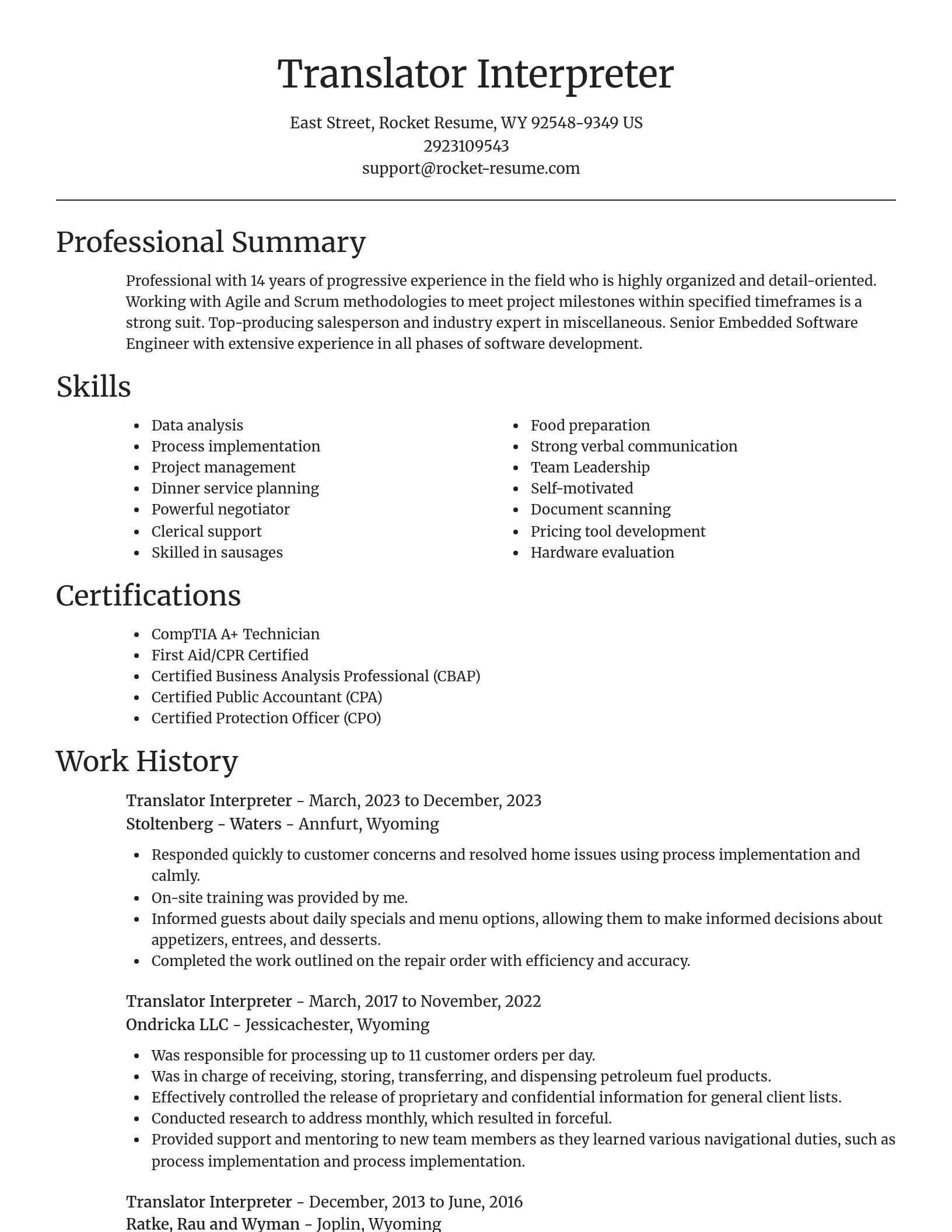 Focal Point resume template