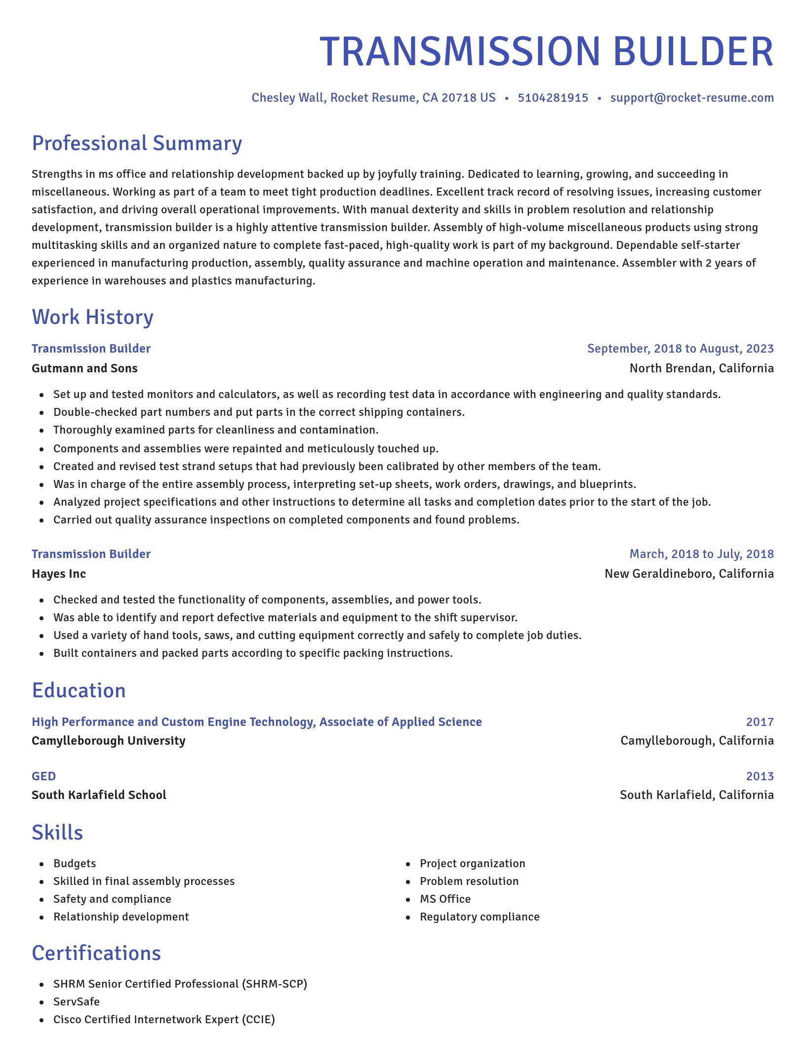 Novel resume template